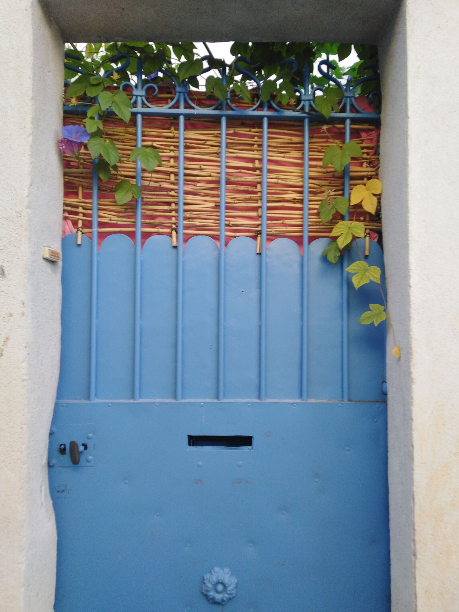 HUAWEI LDN-L21 sample photo. Door, garden, entry photography