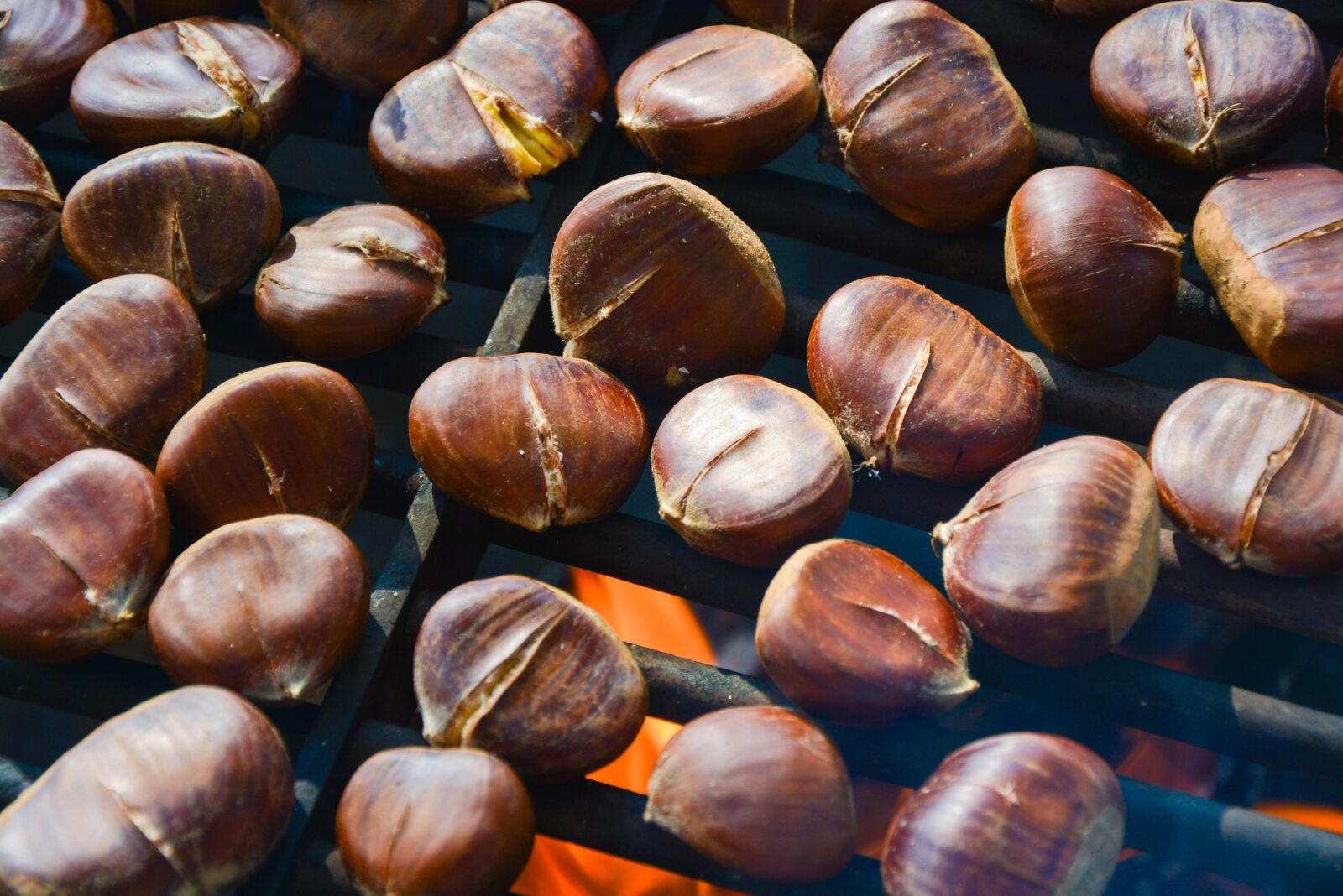 Nikon D7100 sample photo. Pe enen chestnuts, chestnuts photography