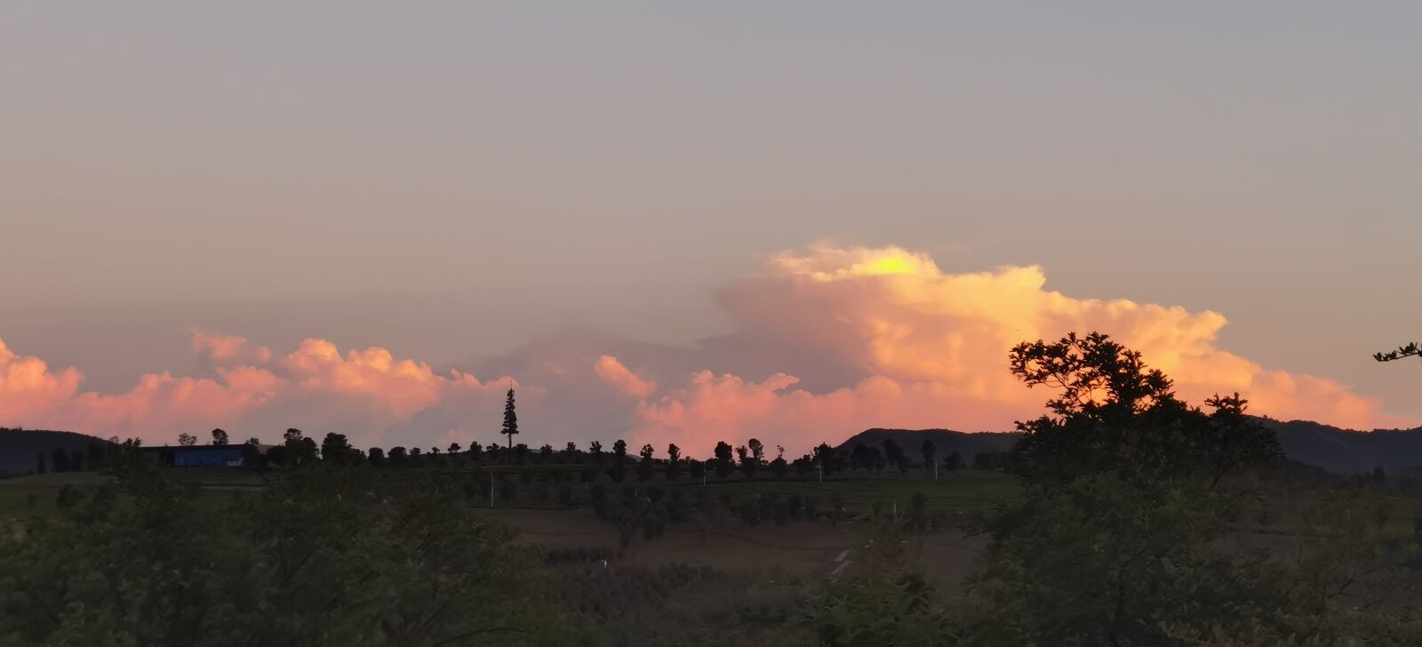 HUAWEI ELS-AN00 sample photo