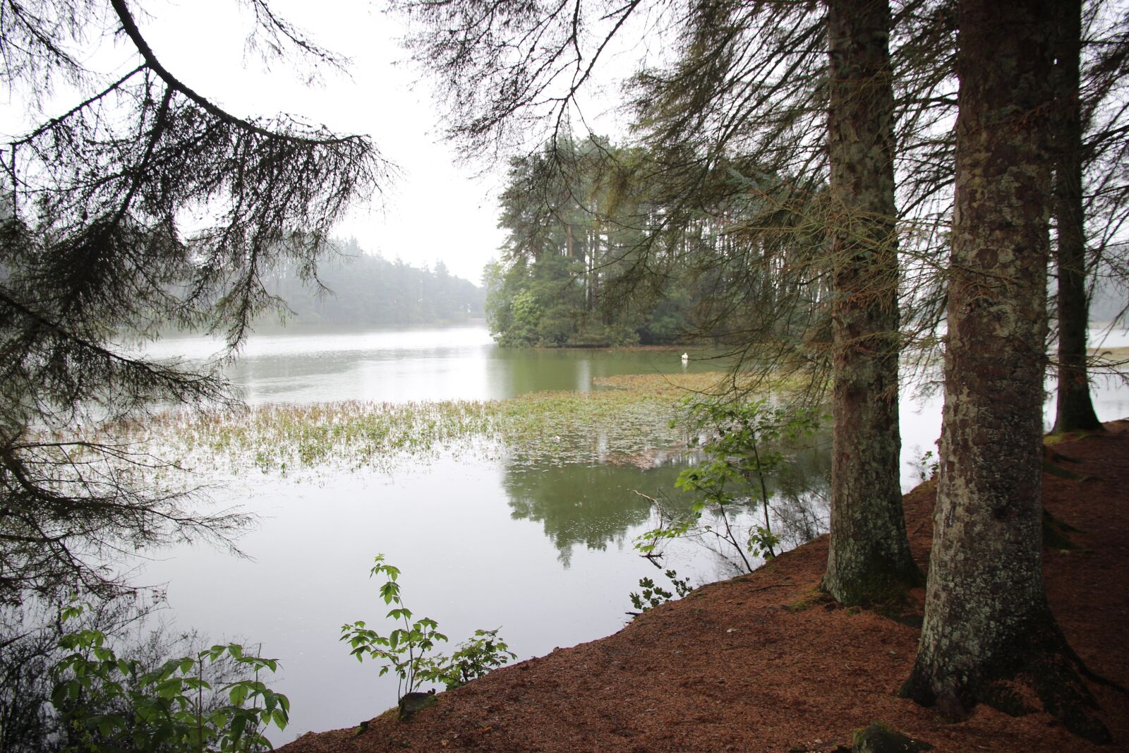 Canon EOS 700D (EOS Rebel T5i / EOS Kiss X7i) sample photo. Beecraig, scotland, loch photography