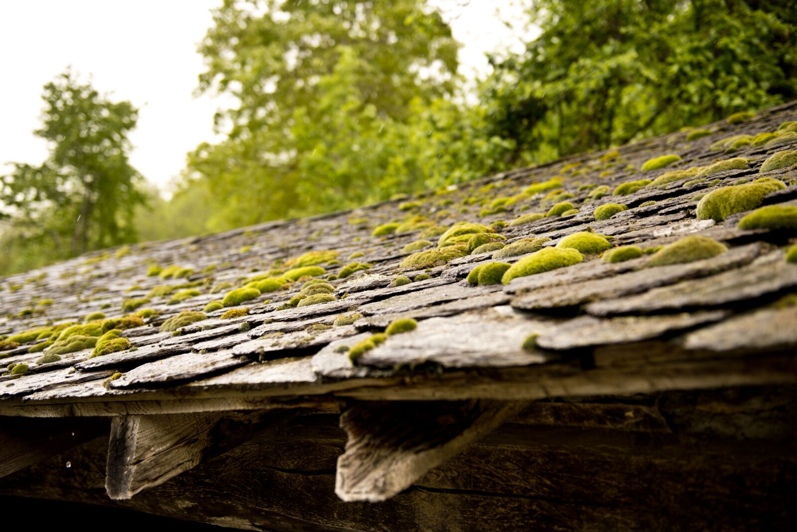 Nikon D800 sample photo. Coverage, slate, foam photography