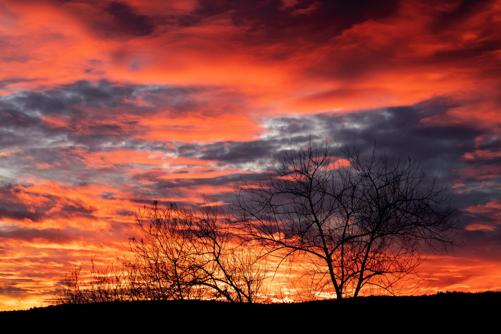 Canon EF 70-300mm F4-5.6 IS USM sample photo. Sunset, bushes, sky photography