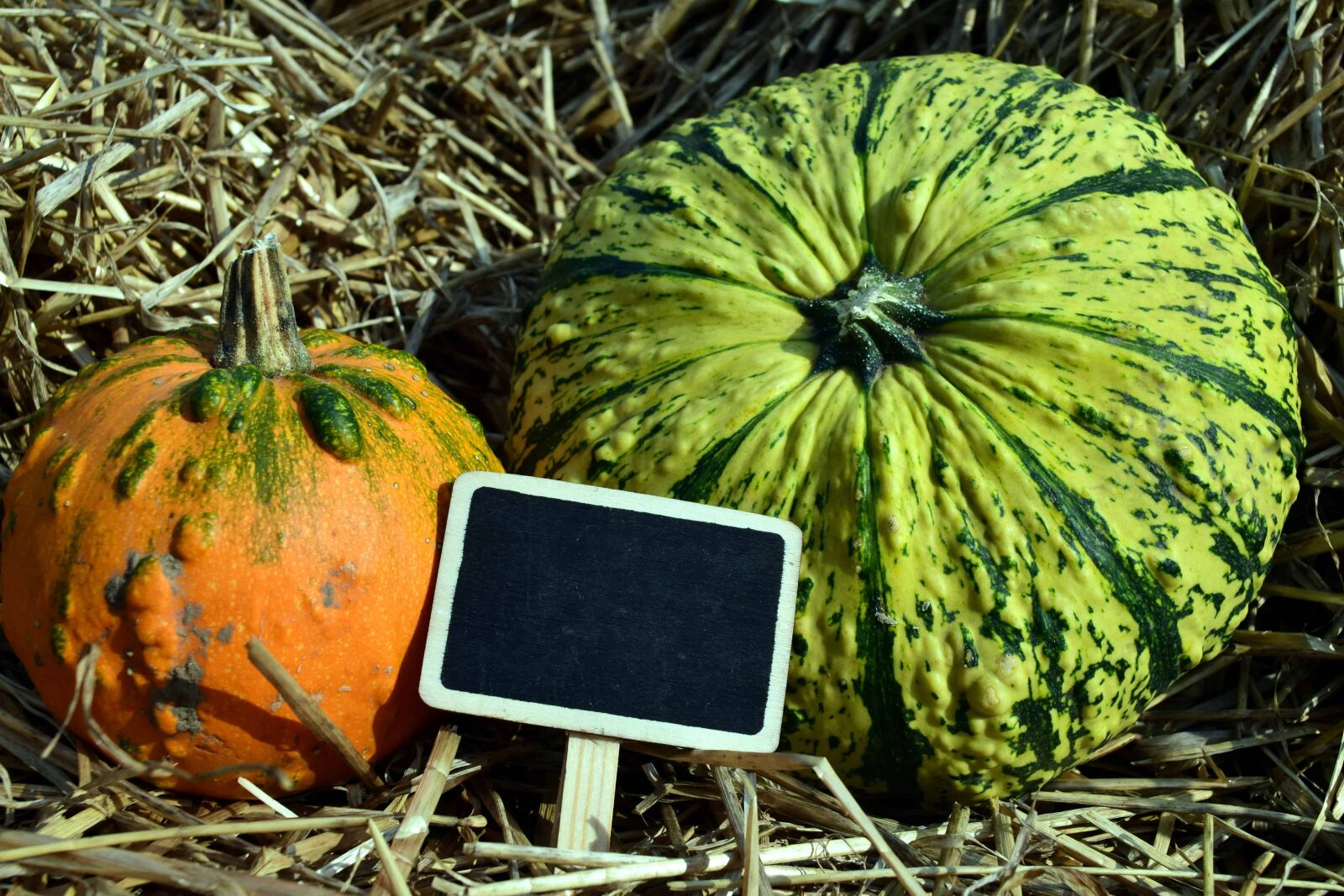 Nikon D3300 sample photo. Food, pumpkin, vegetable, straw photography