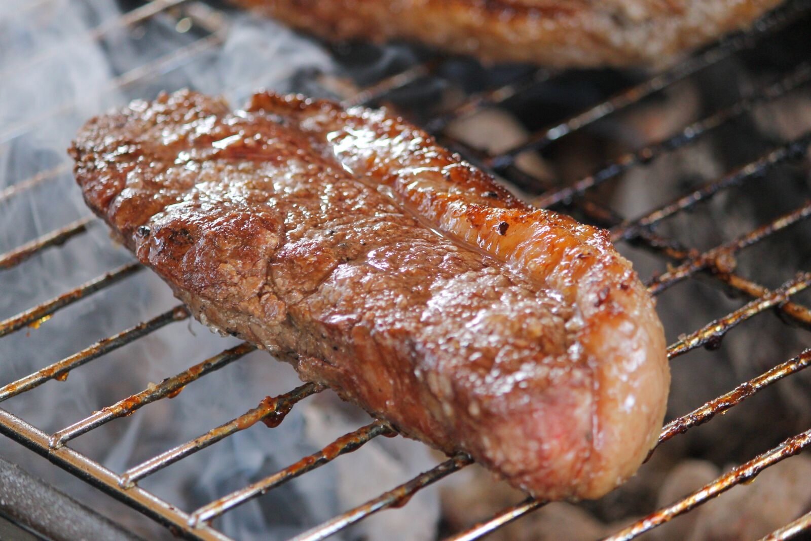 Canon EOS 1100D (EOS Rebel T3 / EOS Kiss X50) sample photo. Meat, grill, party photography