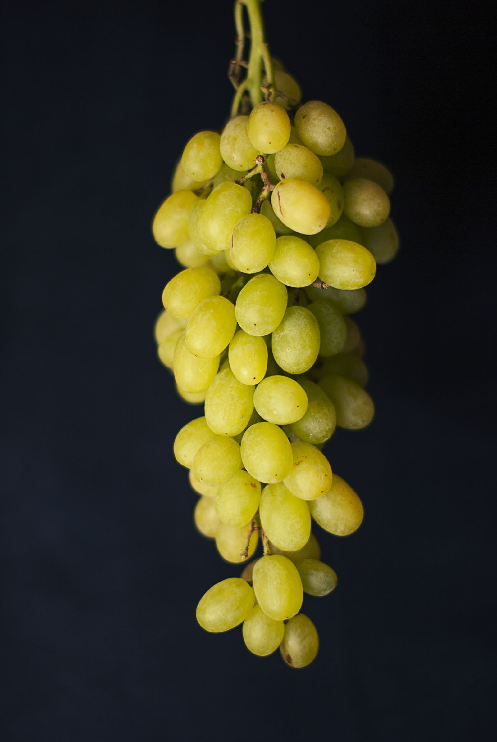 Nikon D60 sample photo. Green, grapes, fruits photography