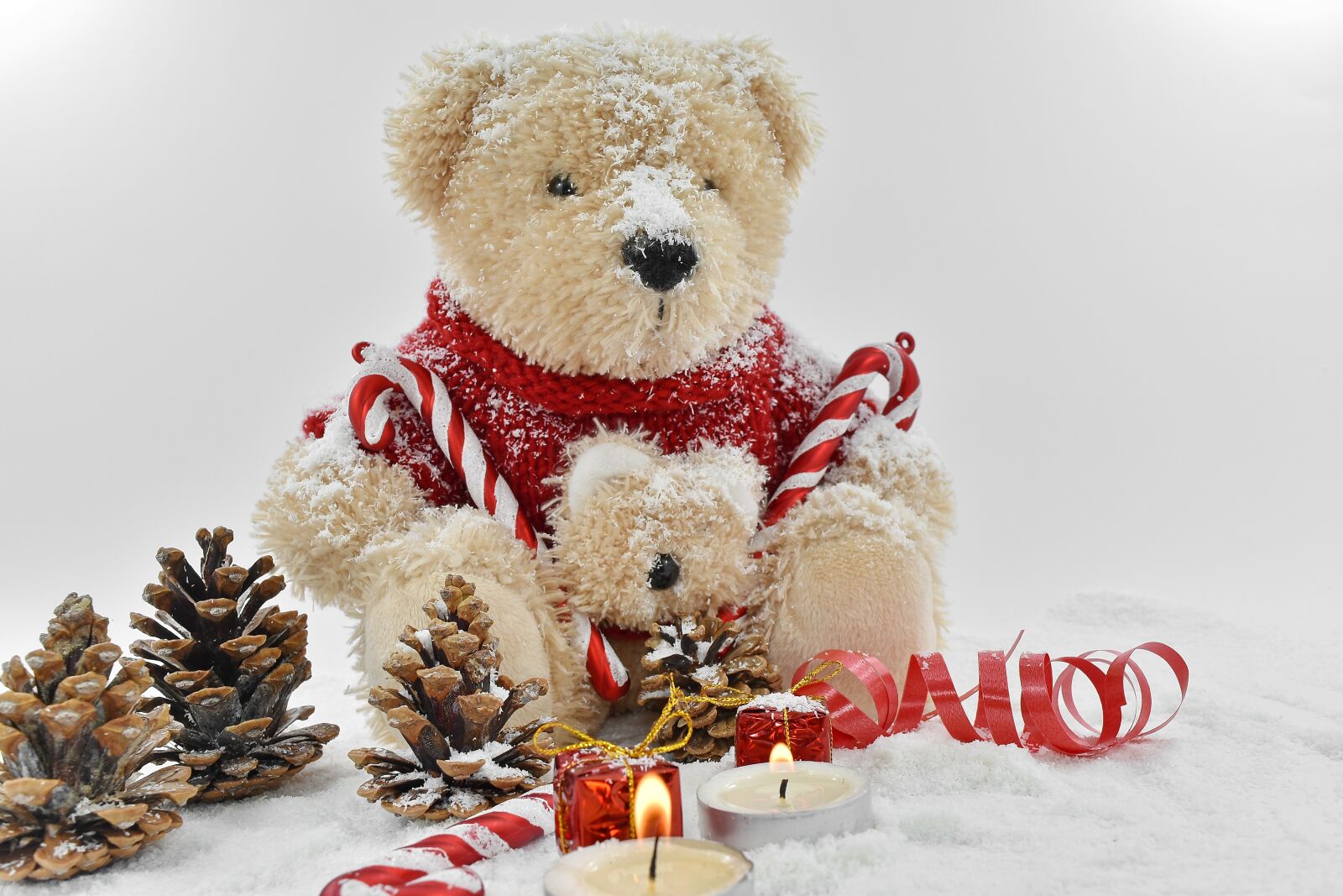 Nikon D5500 sample photo. Christmas, conifers, decorative, holiday photography