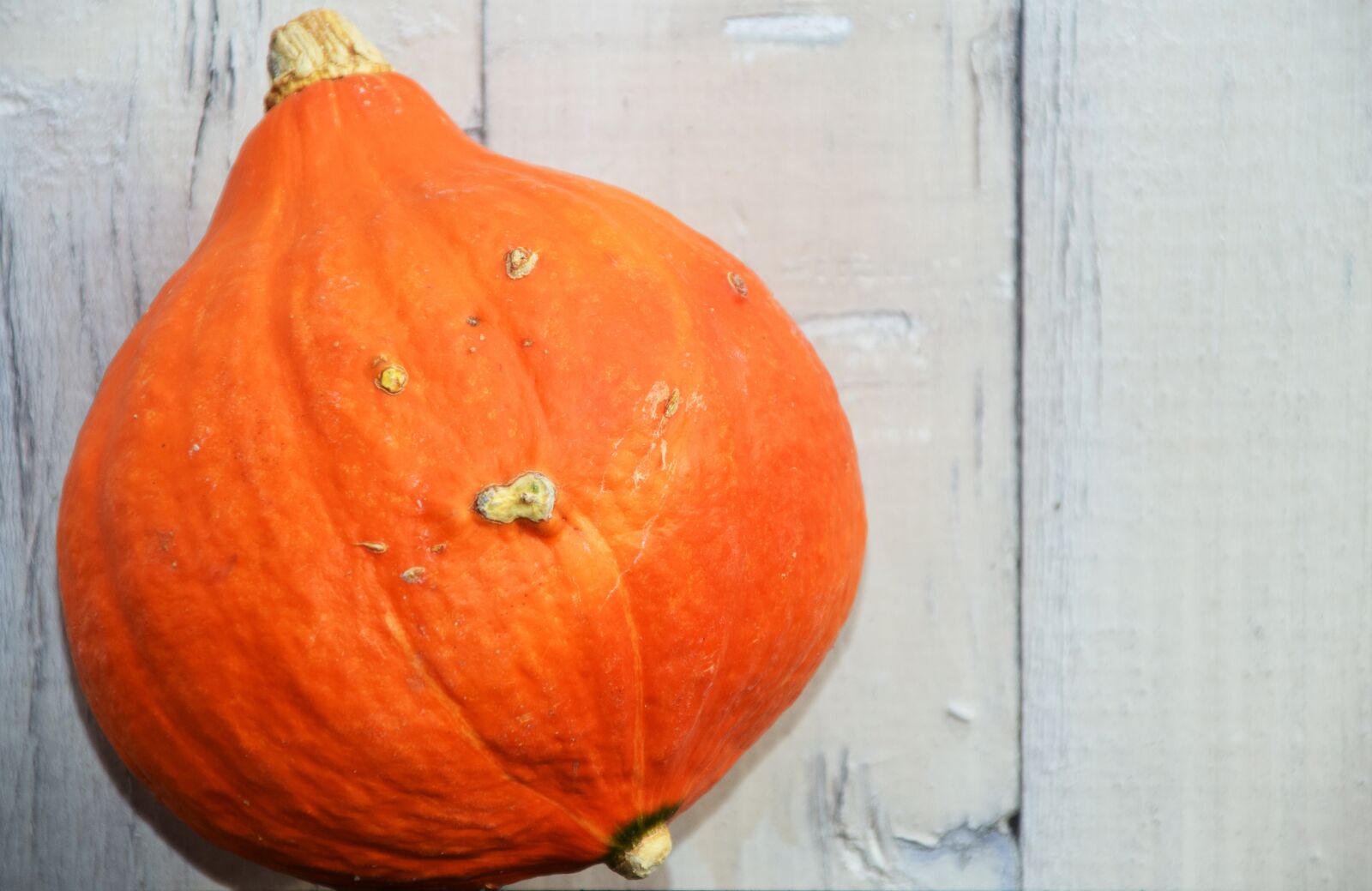 Nikon D3300 sample photo. Pumpkin, hokkaido, orange photography