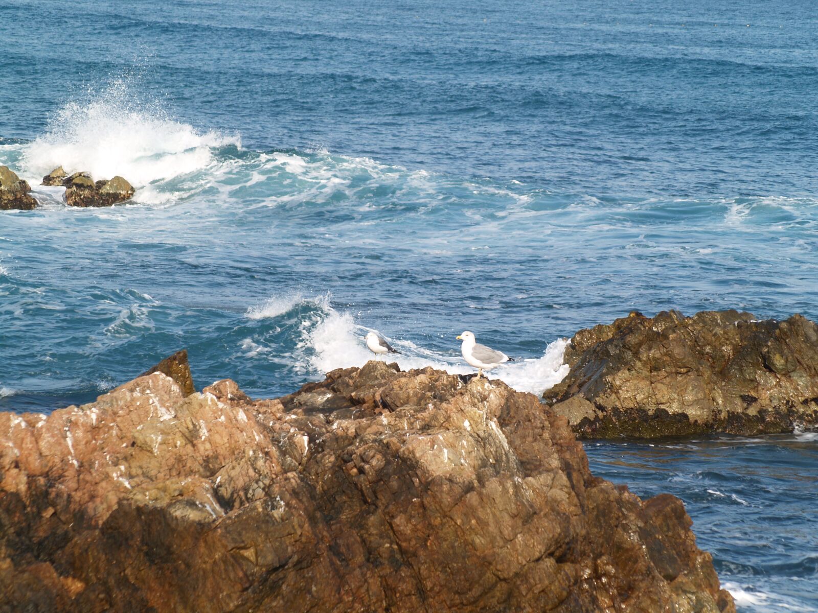 Olympus E-500 (EVOLT E-500) sample photo. Waves, winter, coastal photography