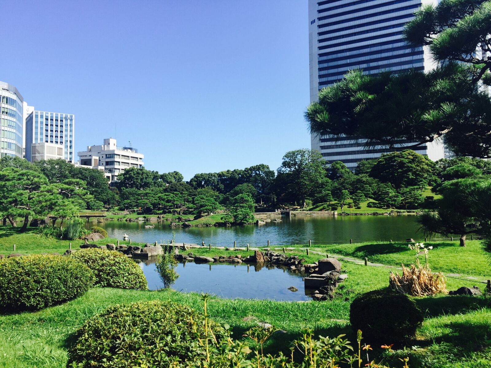 iPhone 6 Plus back camera 4.15mm f/2.2 sample photo. Japan, tokyo, garden photography