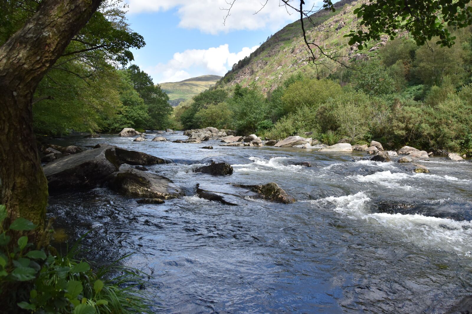 Nikon D5600 sample photo. River, wales, countryside photography