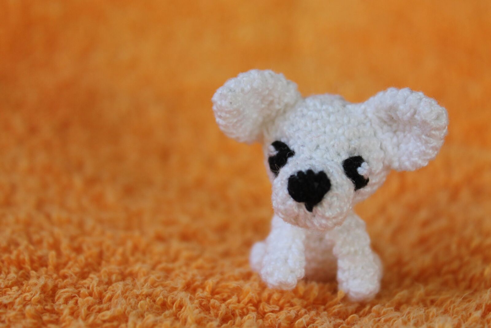 Canon EOS 1100D (EOS Rebel T3 / EOS Kiss X50) sample photo. Craft, dog, pet photography