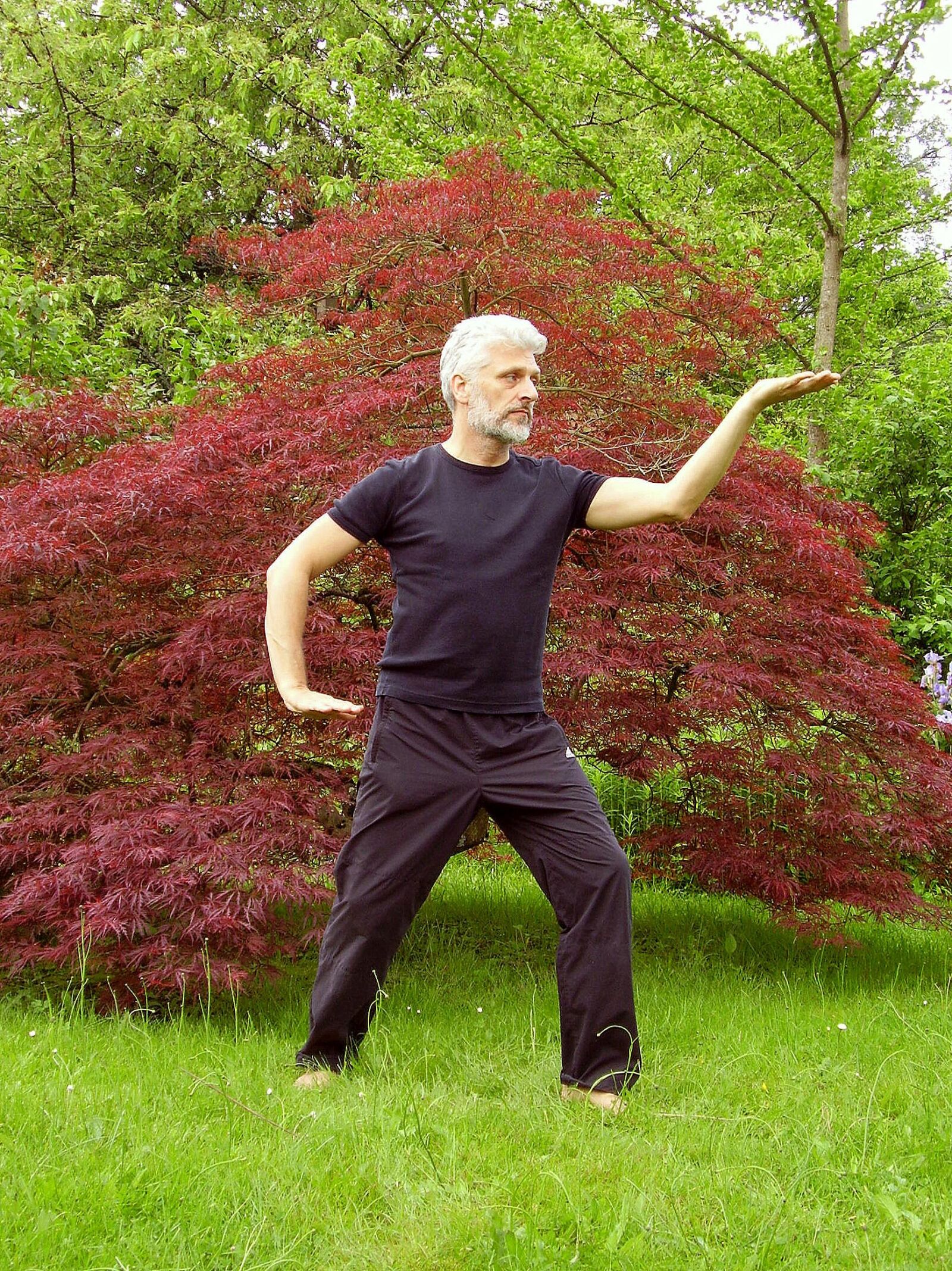 Olympus FE110,X705 sample photo. Tai chi, taiji, qigong photography