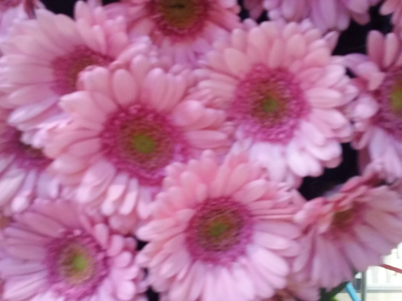 Samsung Galaxy J3(2016) sample photo