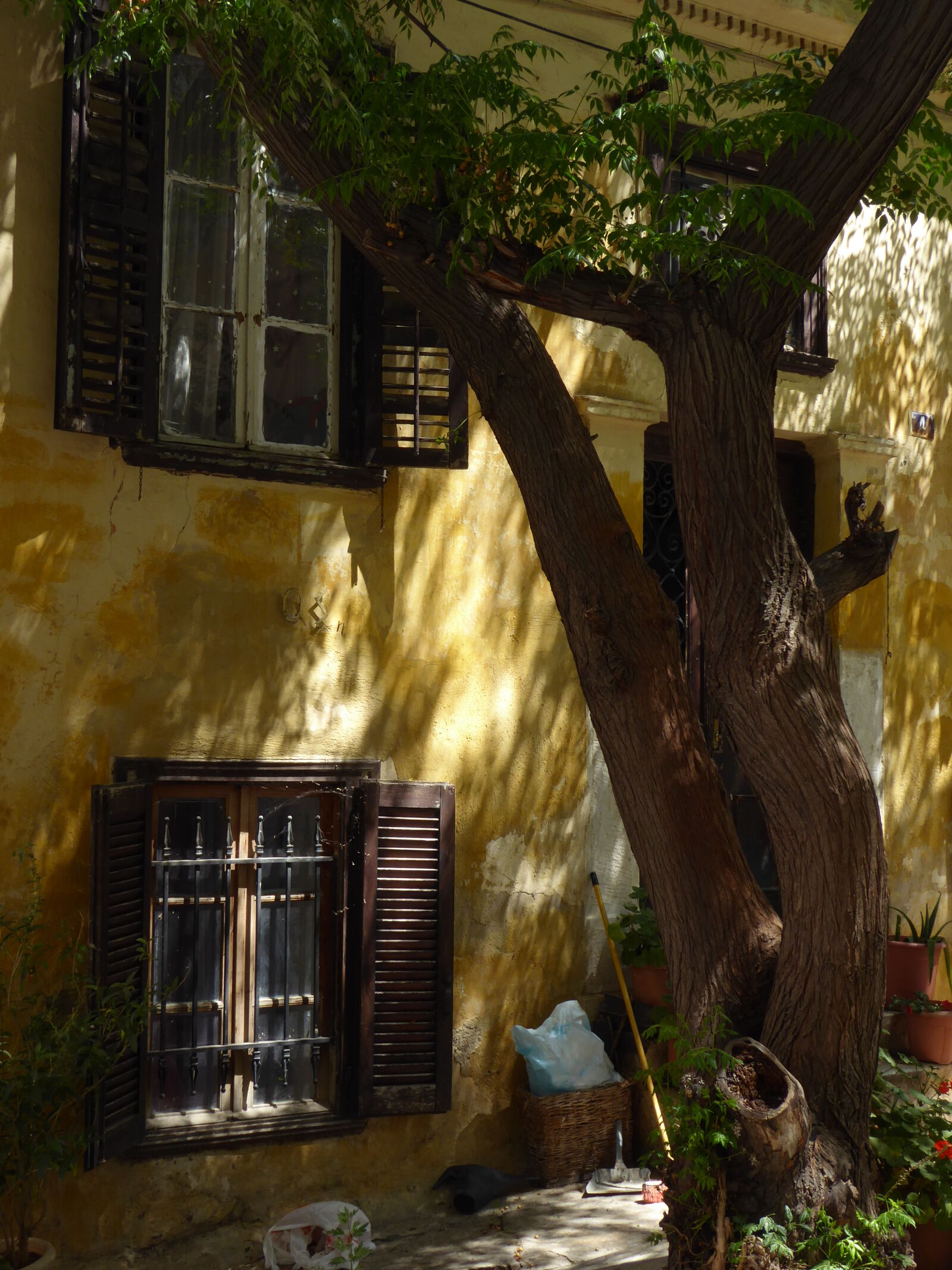 Panasonic Lumix DMC-ZS50 (Lumix DMC-TZ70) sample photo. Athens, greece, plaka photography