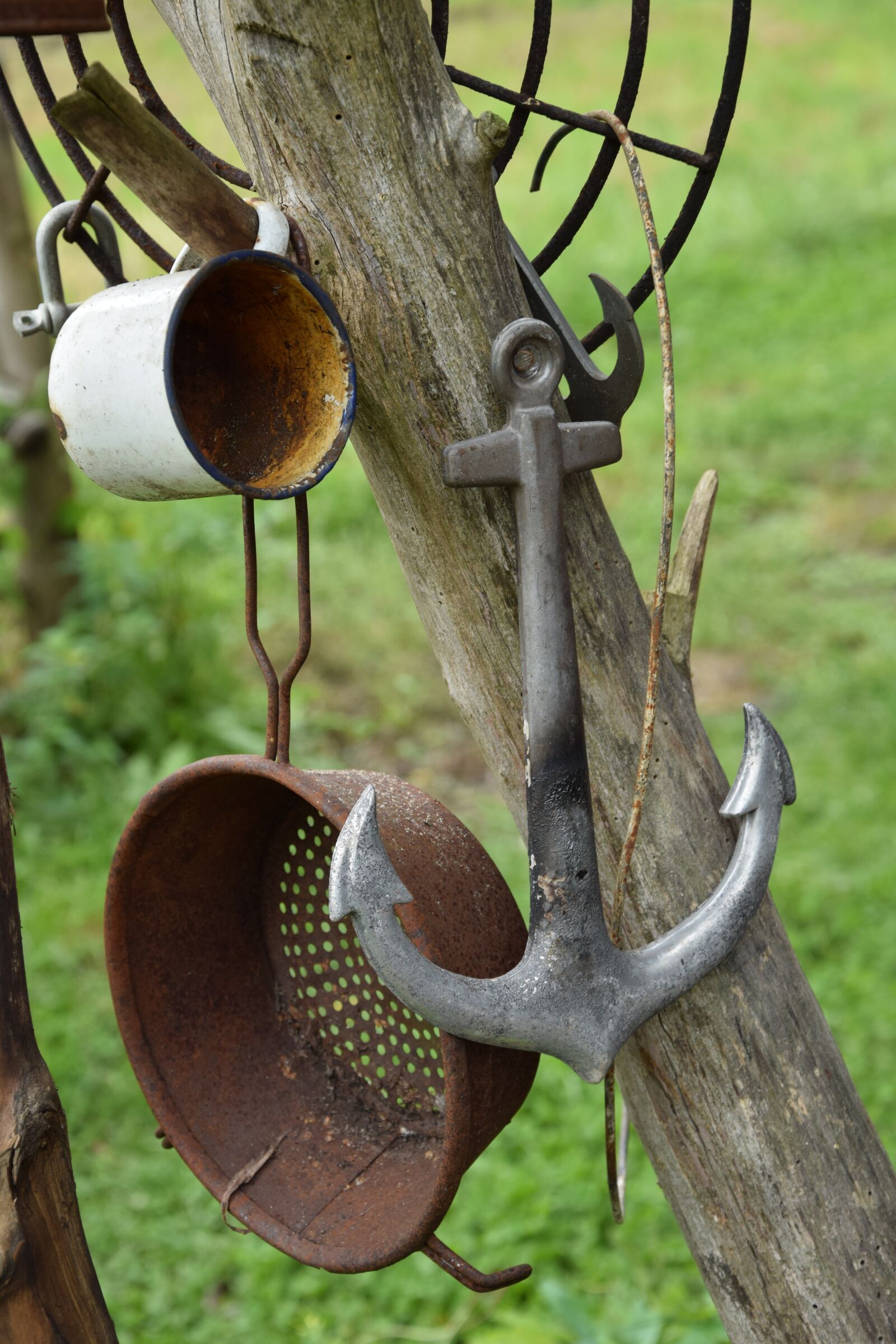 Nikon D5300 sample photo. Anchor, at home, resistance photography
