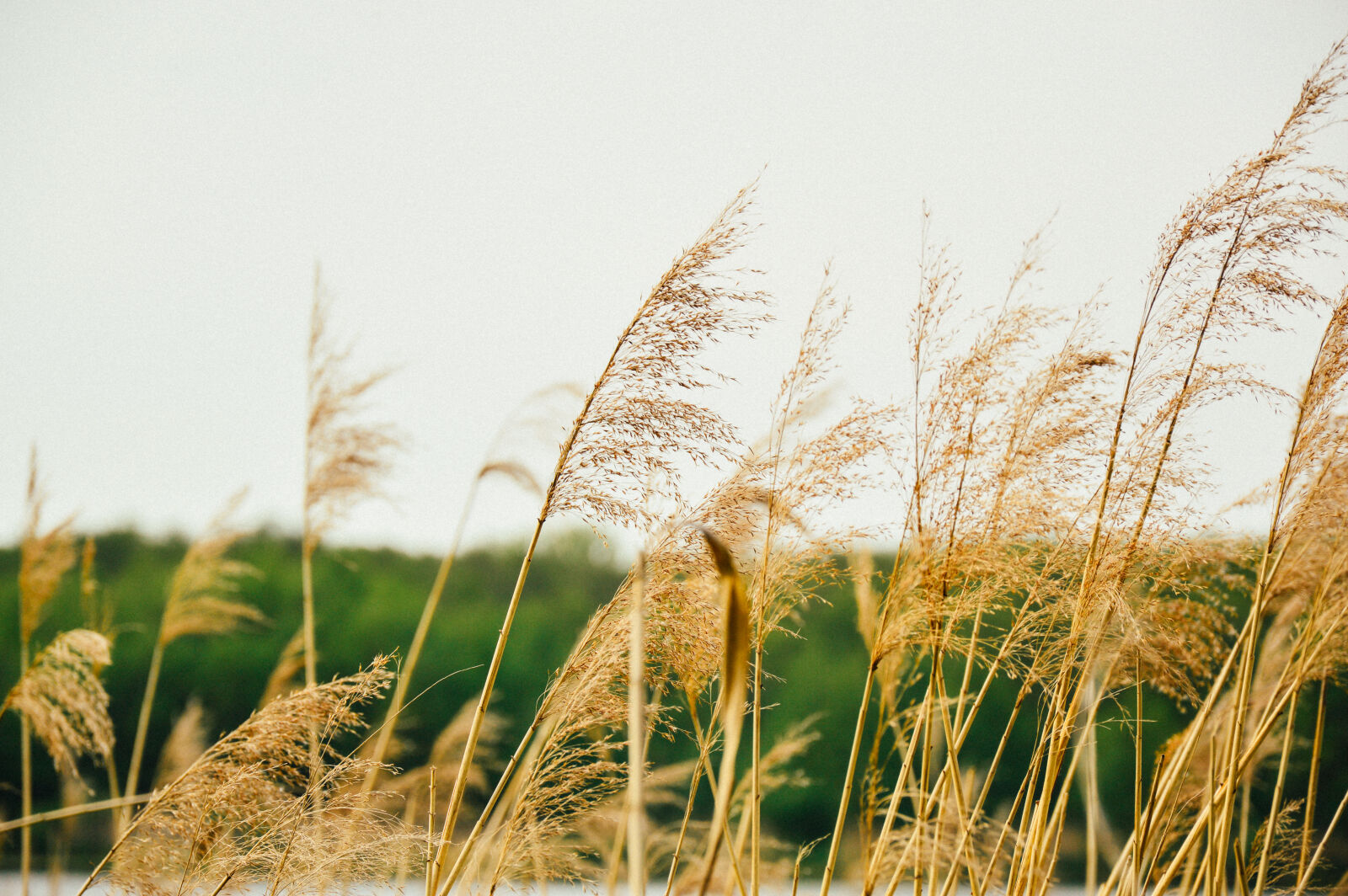 Nikon D3200 sample photo
