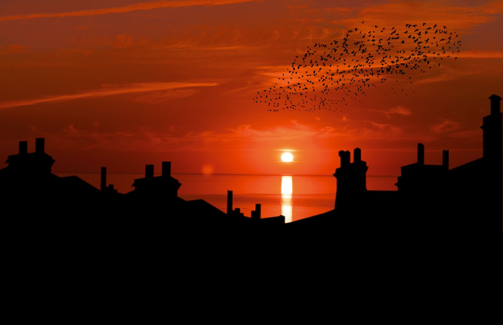 Nikon D3200 sample photo. Sunset, silhouette, row photography