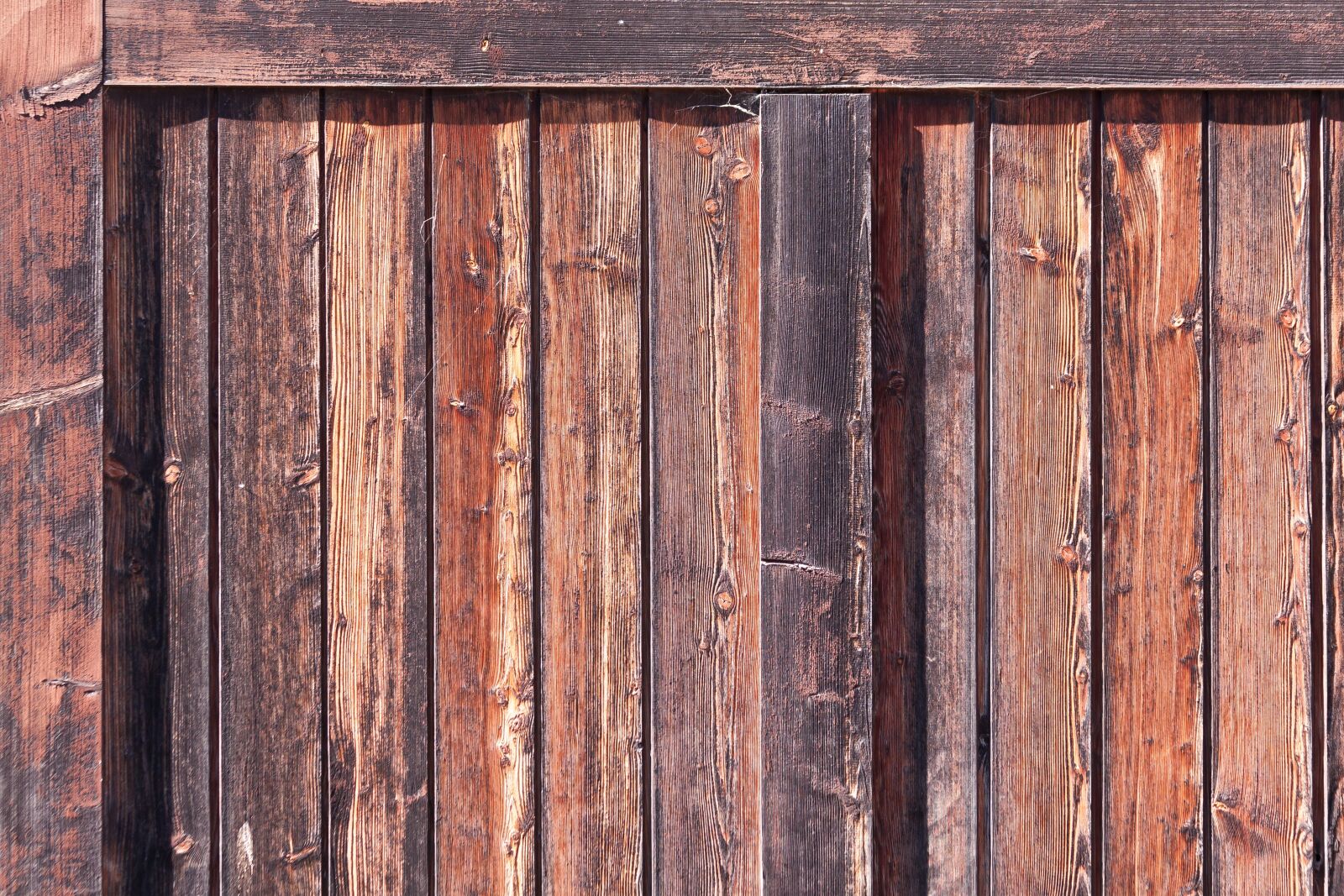Canon EOS 50D sample photo. Wood, goal, fund photography