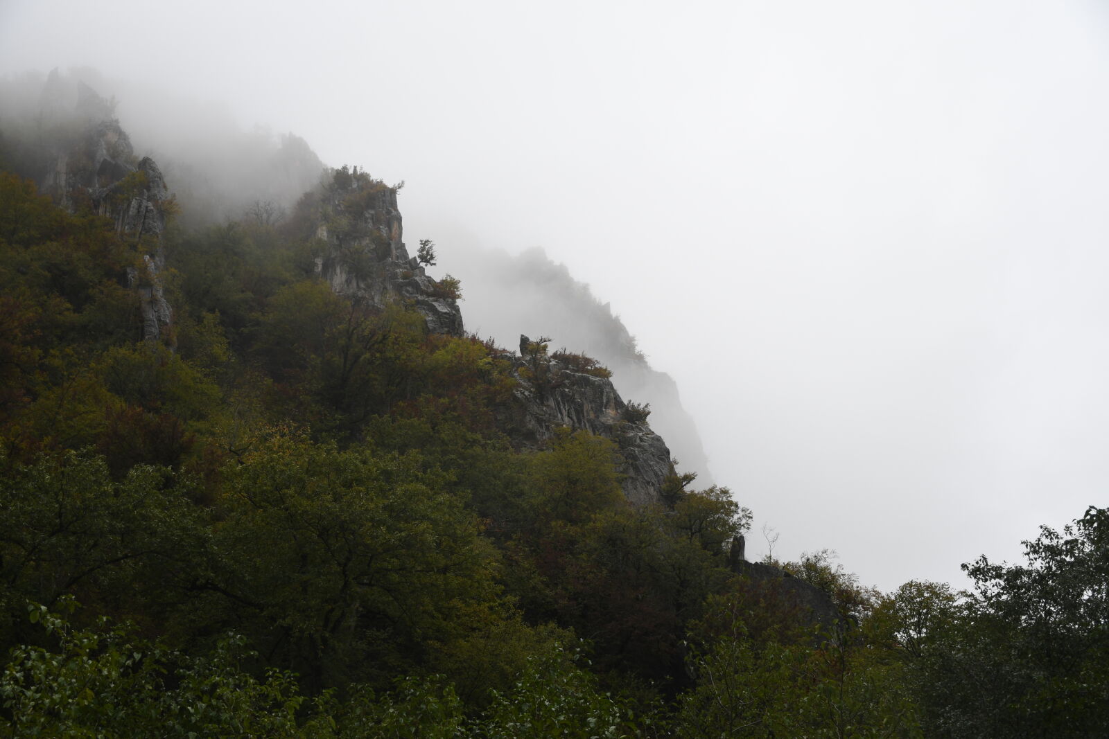 Nikon D7500 sample photo