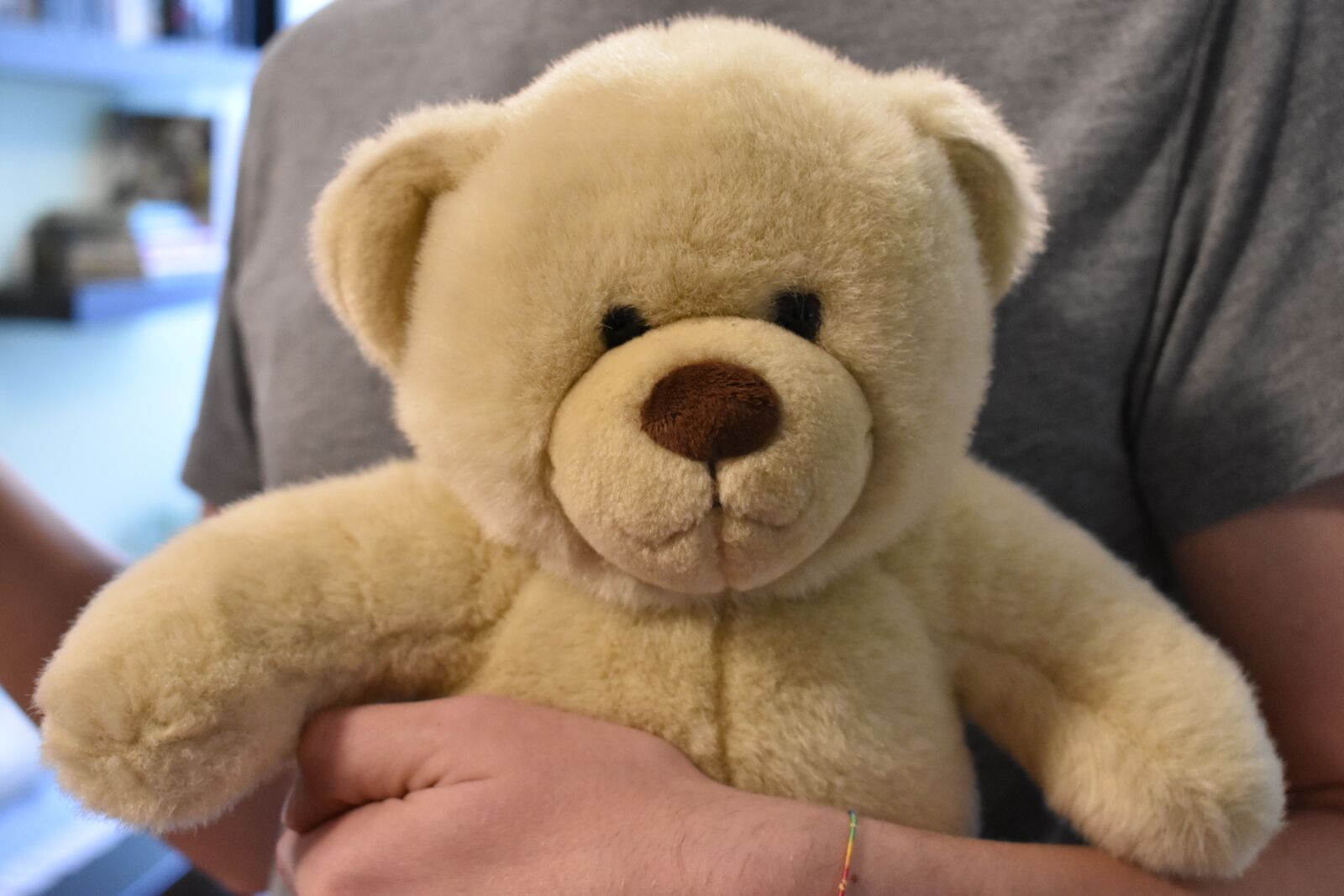 Nikon D3400 sample photo. Teddy, teddy bear, toy photography