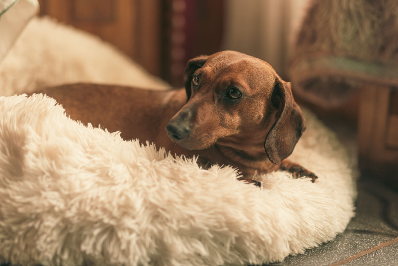 Sigma 50mm F1.4 DG HSM Art sample photo