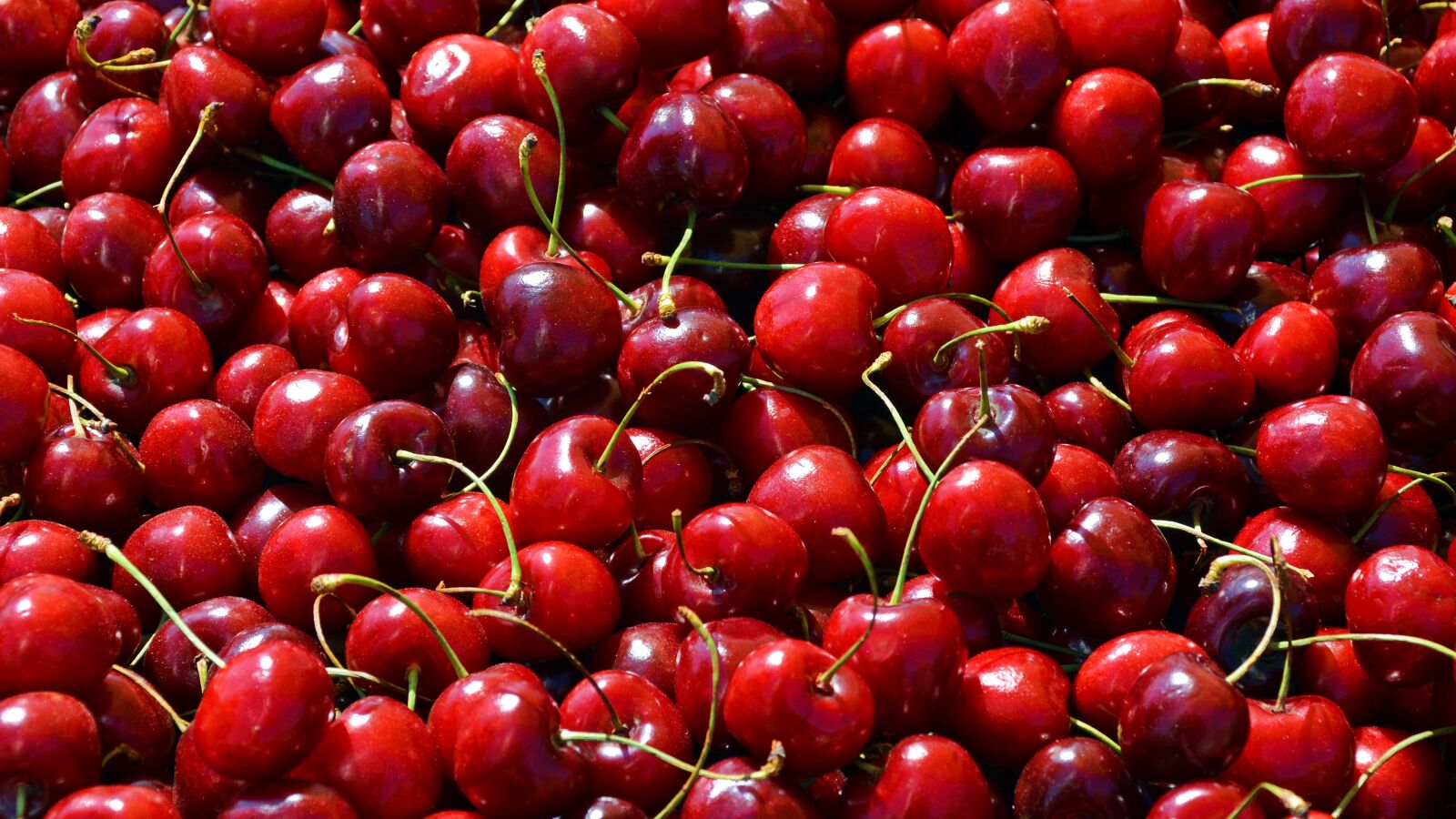 Nikon D5200 sample photo. Cherries, fruit, sweet cherries photography
