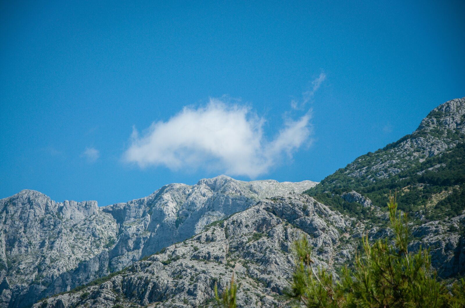 Nikon D90 sample photo. Mountain, nature, mountains photography