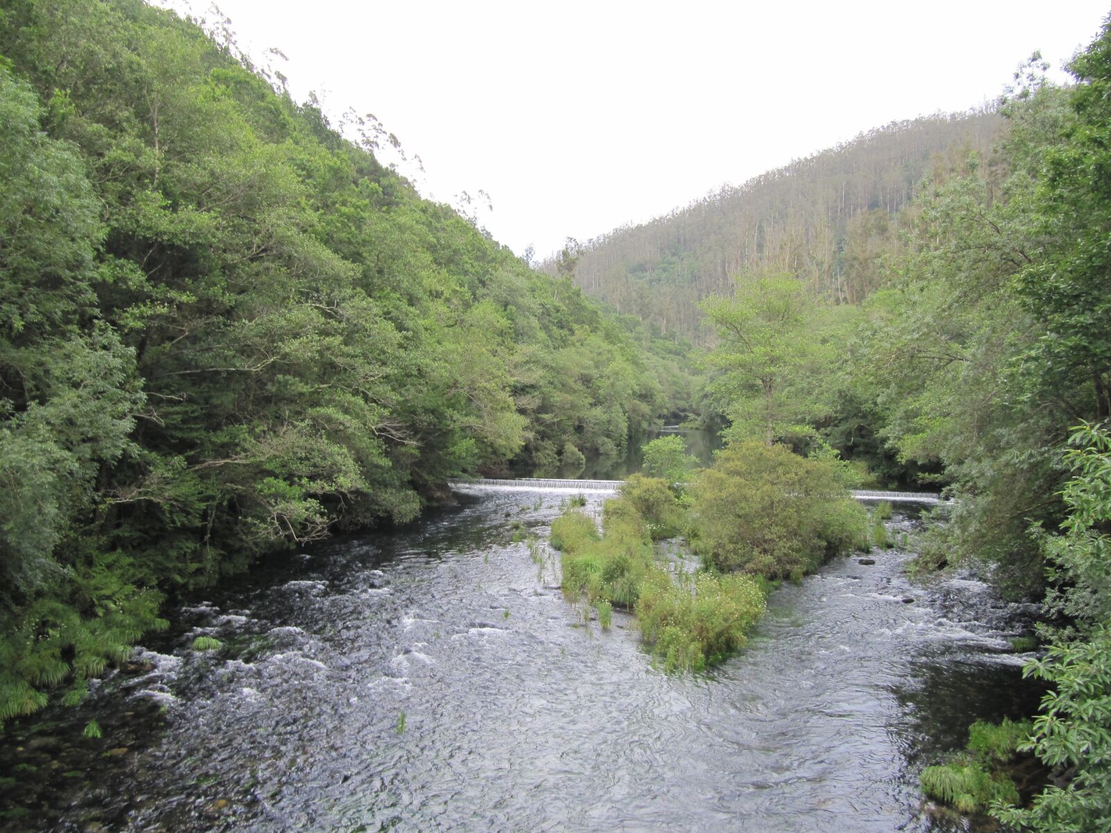 Canon PowerShot SX200 IS sample photo. Nature, river, trees photography