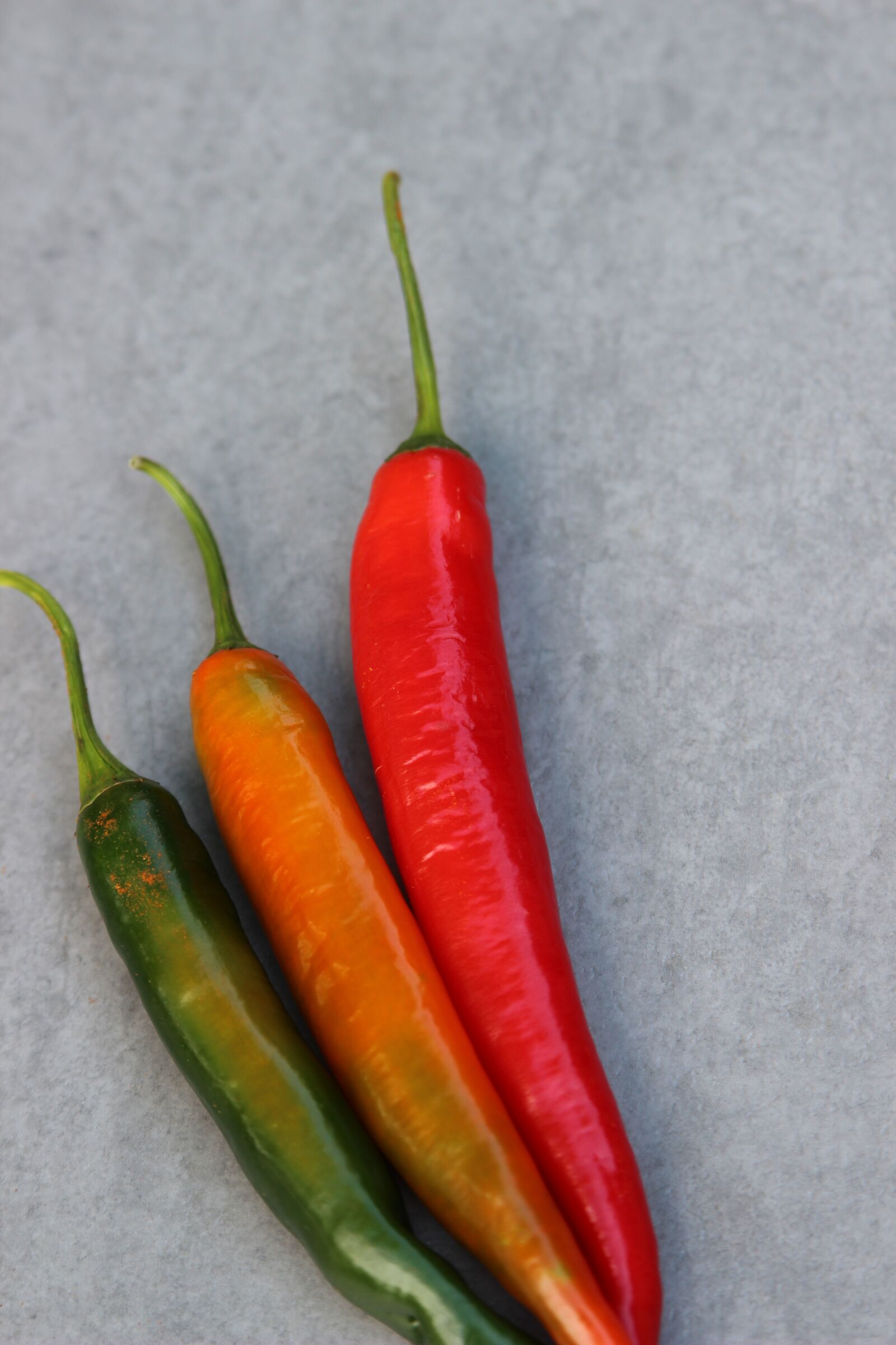 Canon EOS 600D (Rebel EOS T3i / EOS Kiss X5) sample photo. Chili, spices, sharp photography