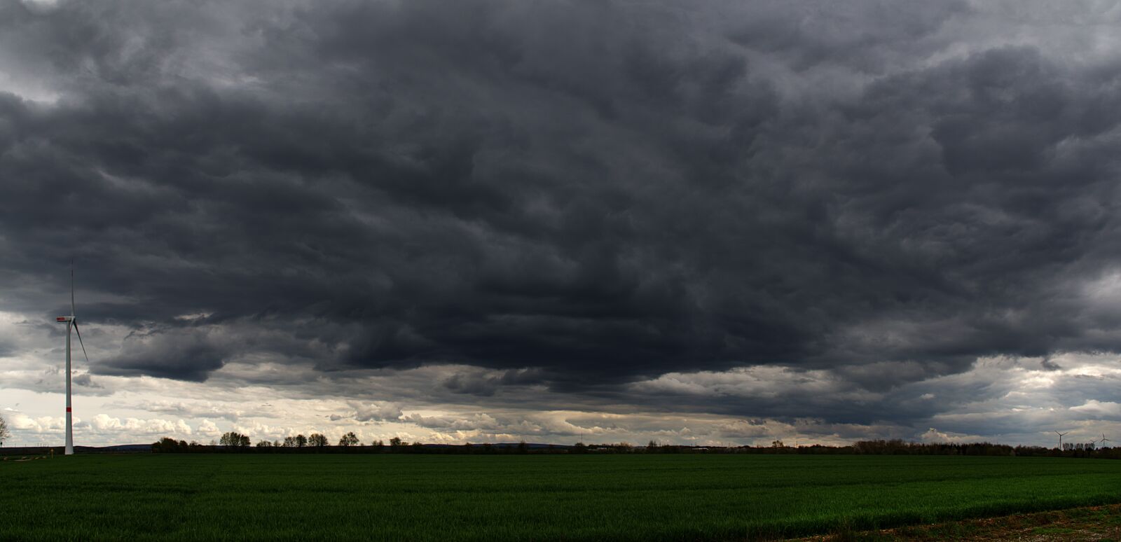 Nikon D5500 sample photo. Panorama, nature, forward photography