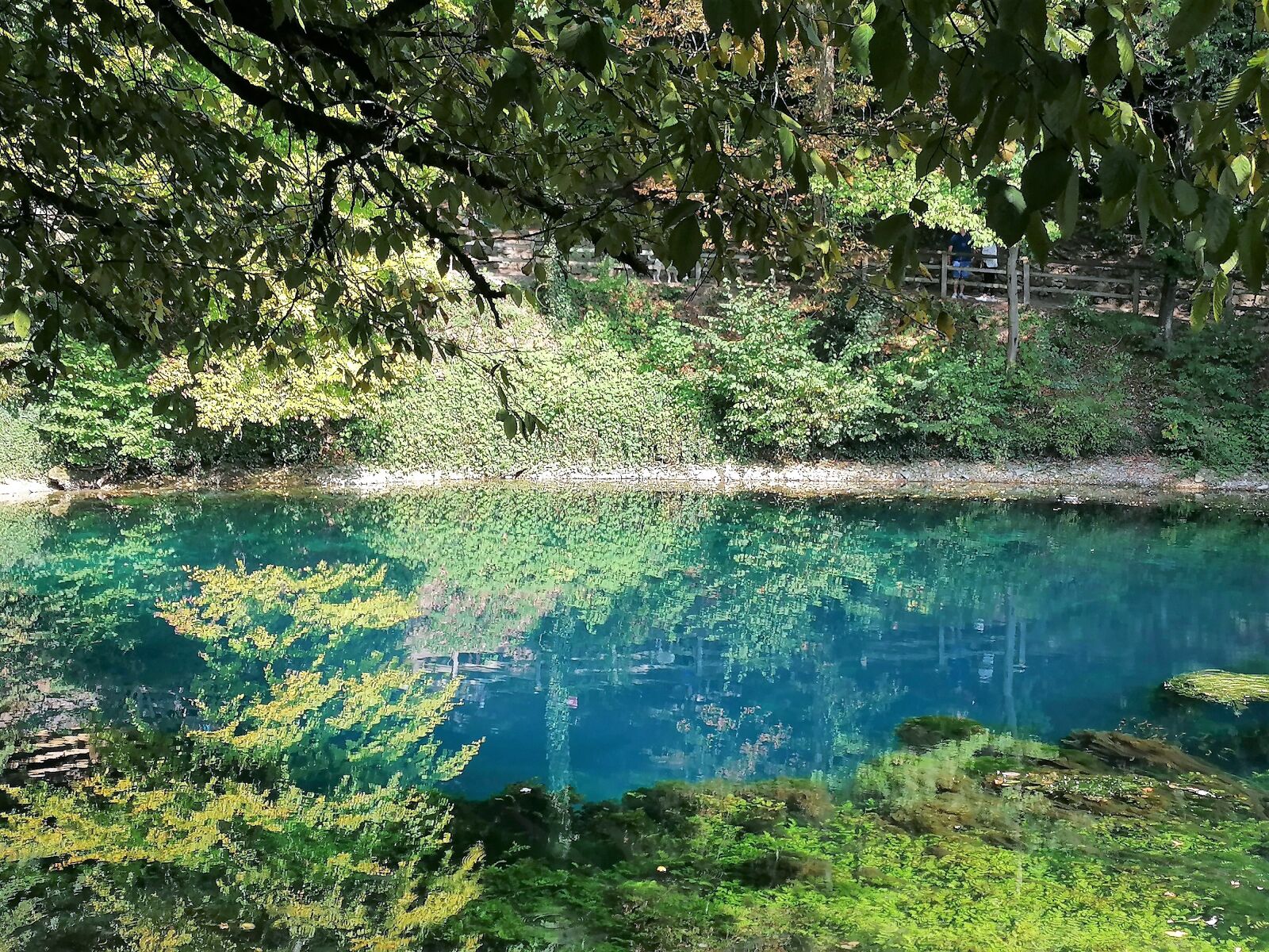 HUAWEI MAR-LX1A sample photo. Blautopf, pond, lake photography
