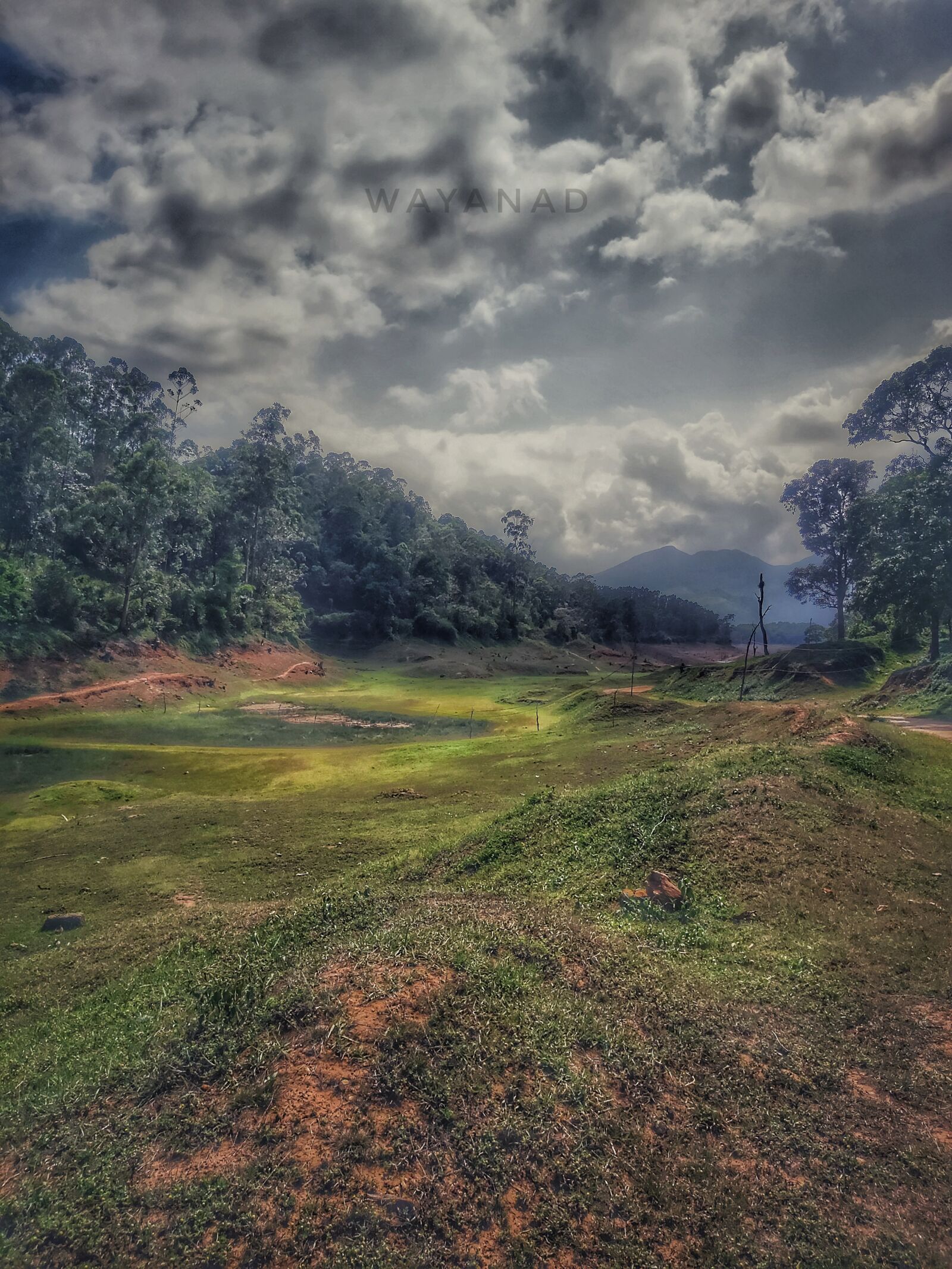 Samsung Galaxy A70 sample photo. Nature, kerala, mountain photography