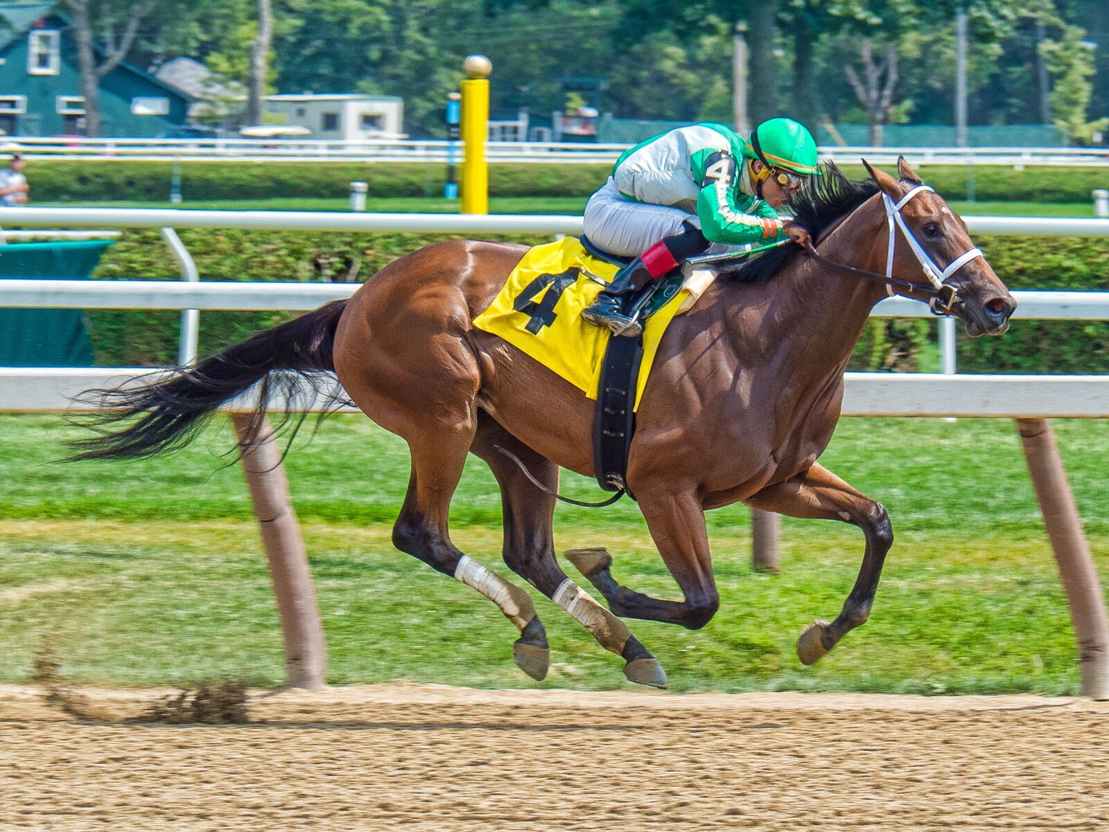 Olympus OM-D E-M1 Mark II sample photo. Race horse, jockey, horse photography