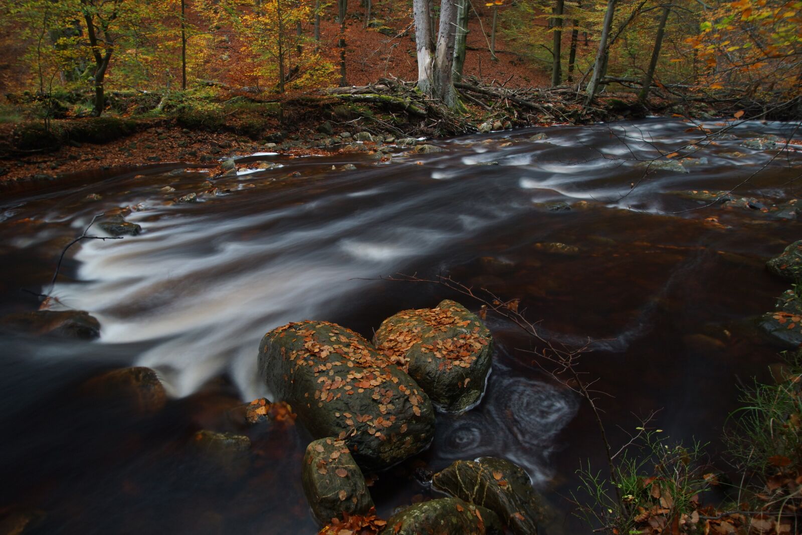Sony SLT-A77 sample photo. River, ardennes, autumn photography