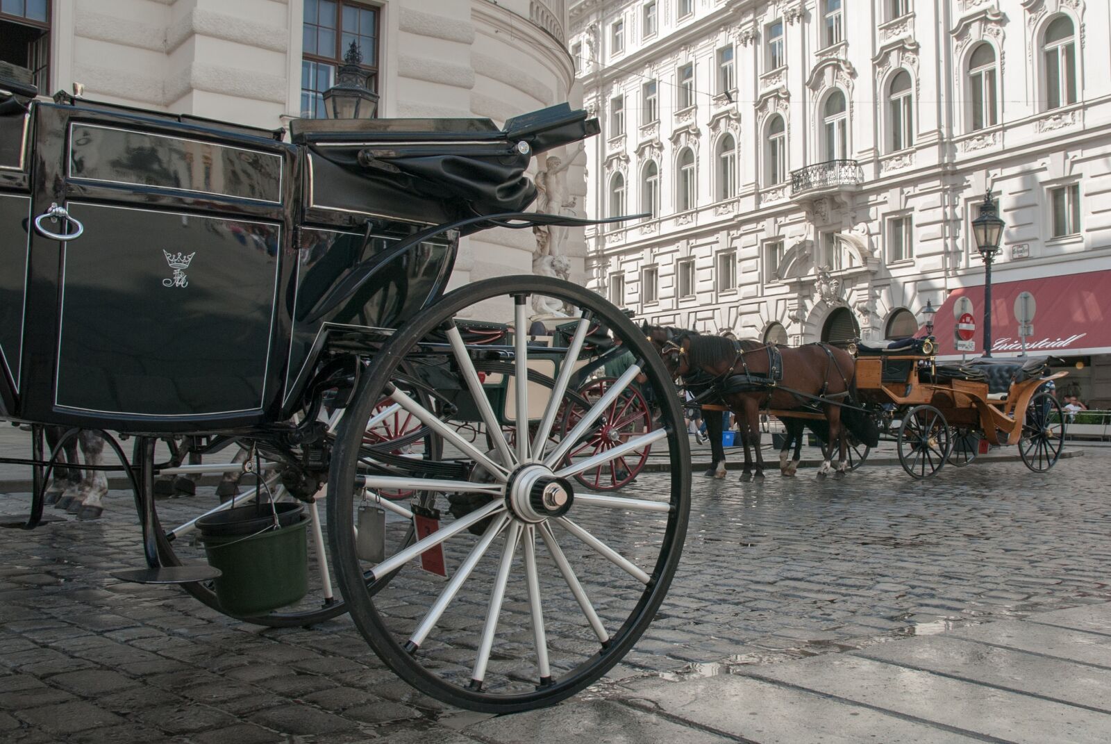 Nikon D200 sample photo. Carriage, horses, wheel koca photography