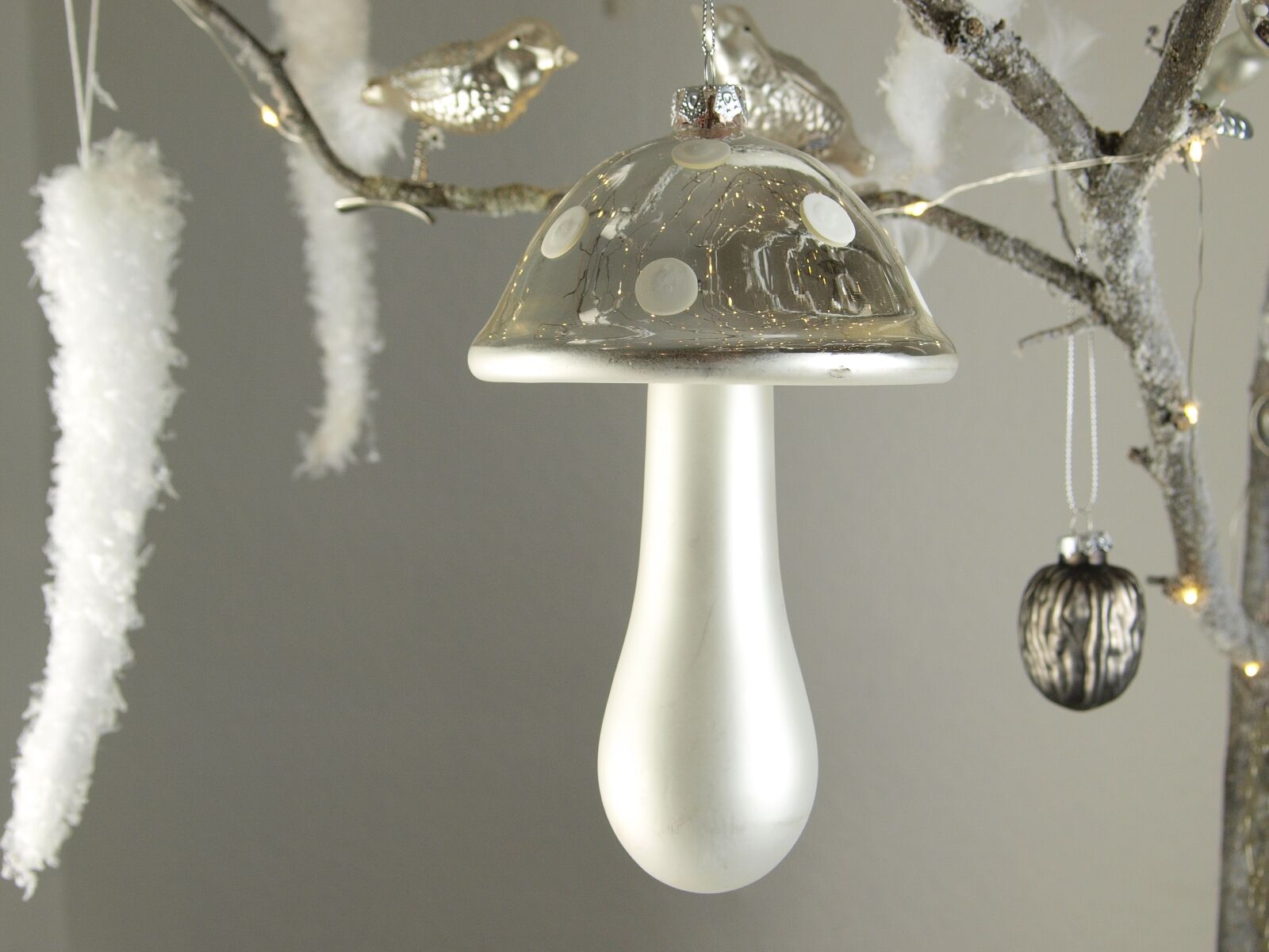 Olympus E-420 (EVOLT E-420) sample photo. Decoration, mushroom, noble photography