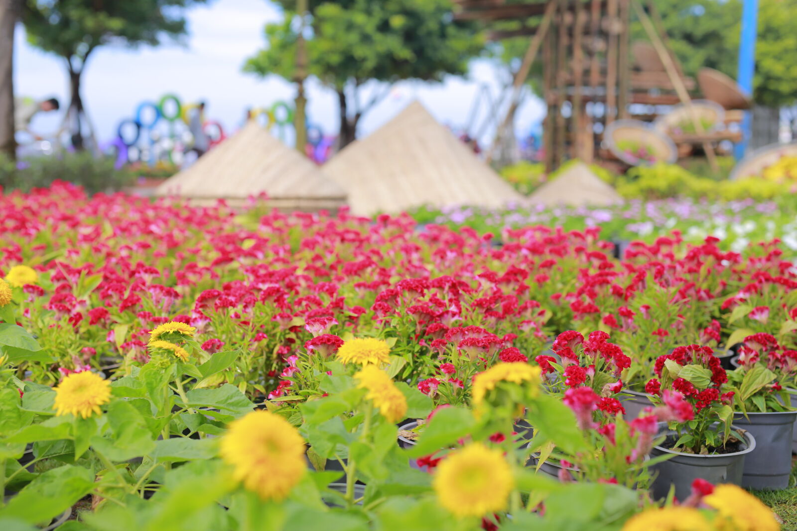 Canon EOS 6D sample photo