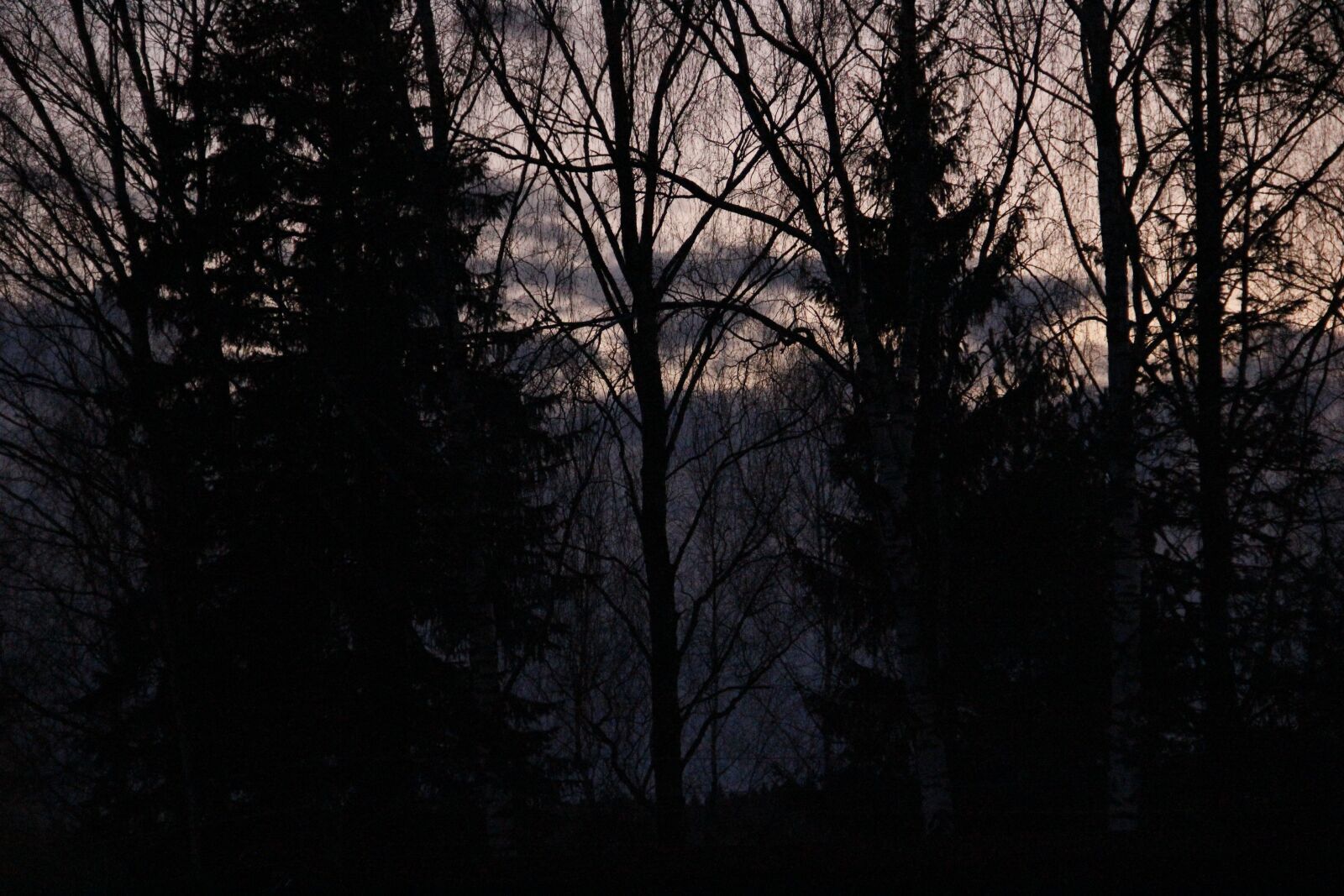 Canon EOS 60D sample photo. Evening, sunset, nature photography