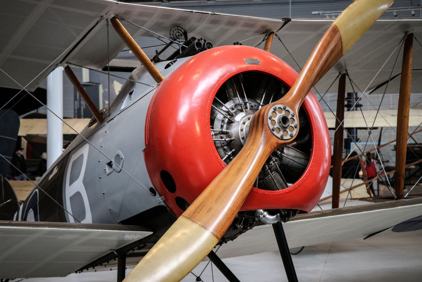 Canon EOS 80D sample photo. Aeroplane, aviation, history, monoplane photography
