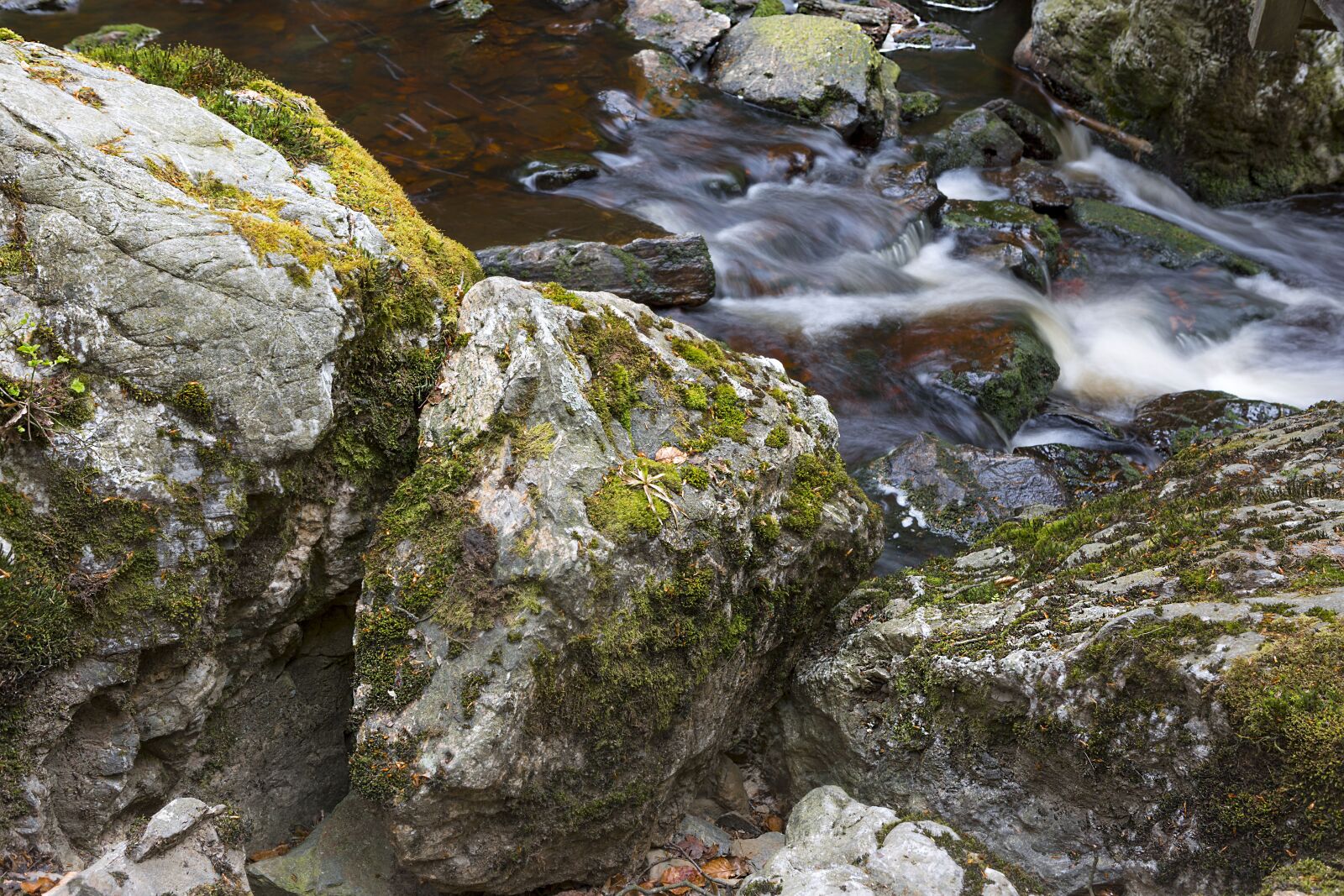 Canon EF 24-70mm F2.8L USM sample photo. High fens, ardennes, belgium photography