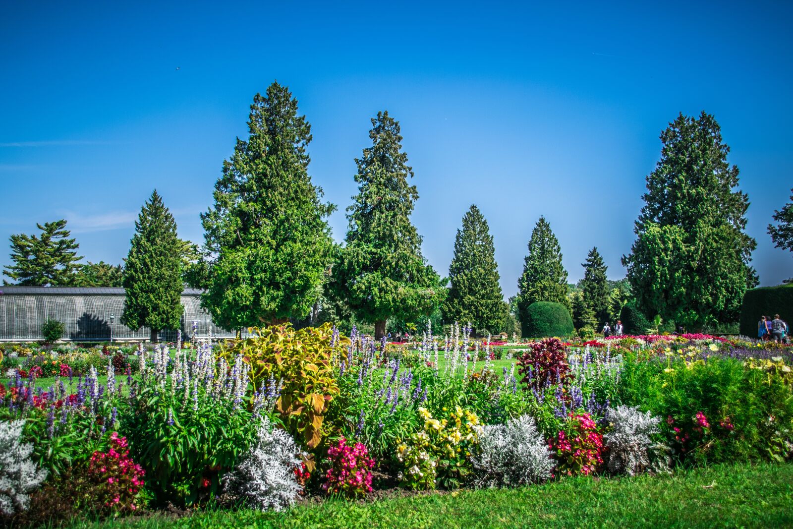 Nikon D5300 sample photo. Park, castle, architecture photography