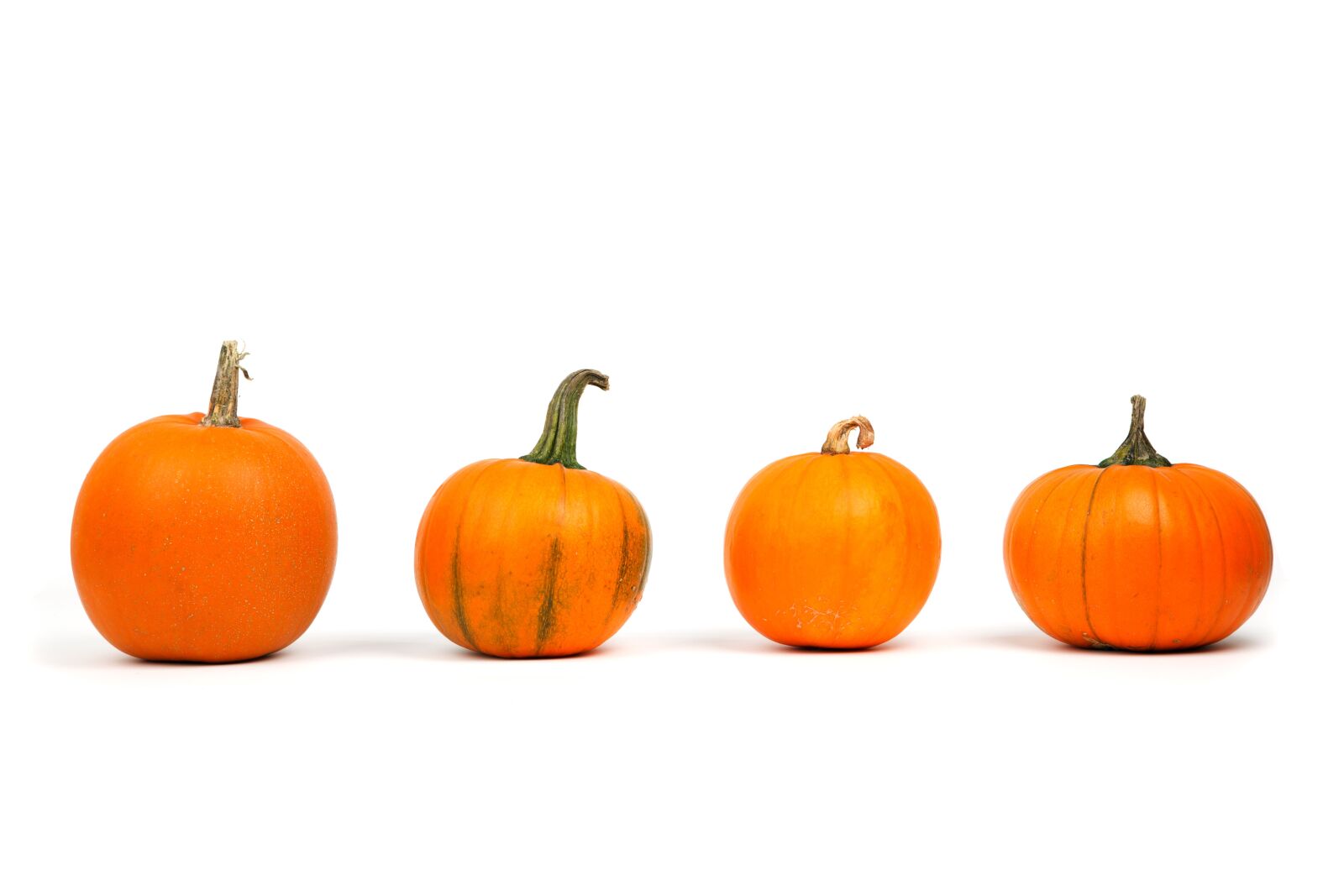 Canon EOS 5D Mark II sample photo. Delicious, food, harvest, ingredients photography