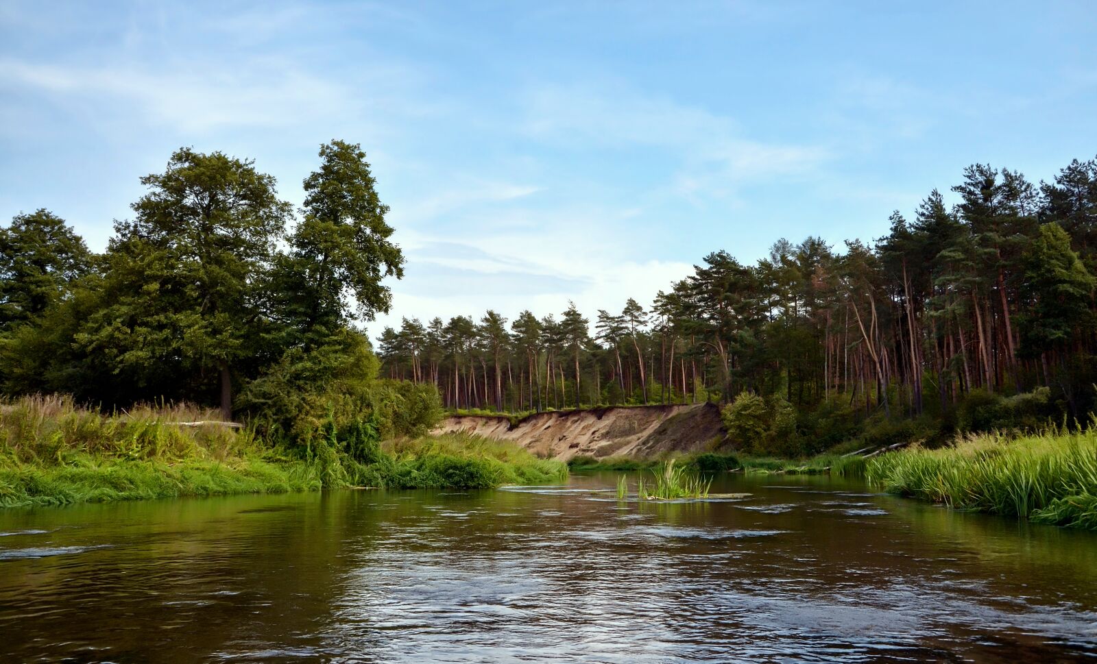 Nikon D7000 sample photo. River, forest, clouds photography