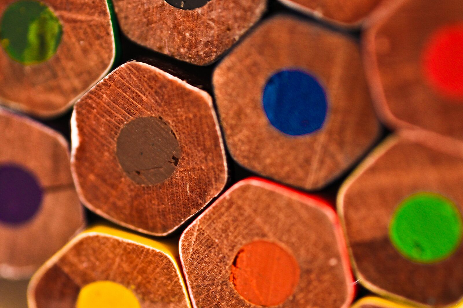 Canon EOS 5D Mark II sample photo. Flower, leaf, wood photography