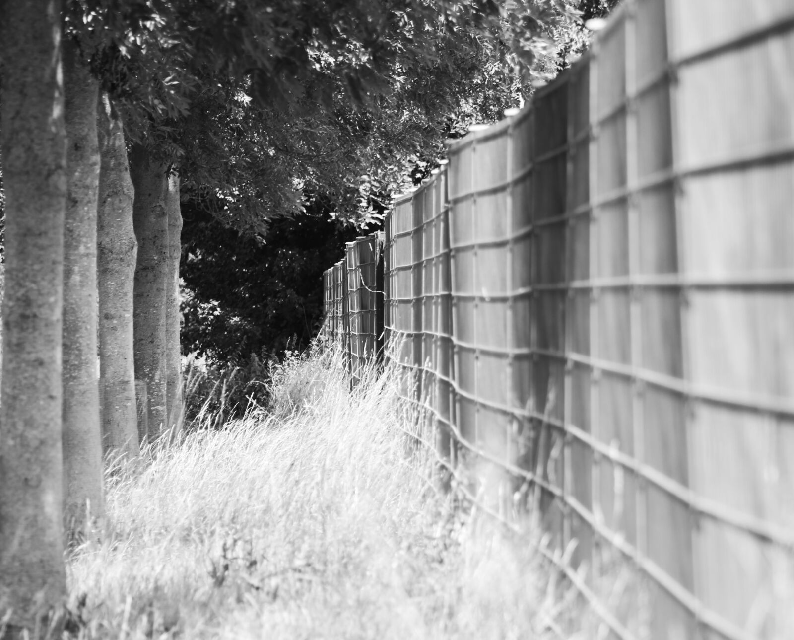 EF75-300mm f/4-5.6 sample photo. Fence, wood, landscape photography