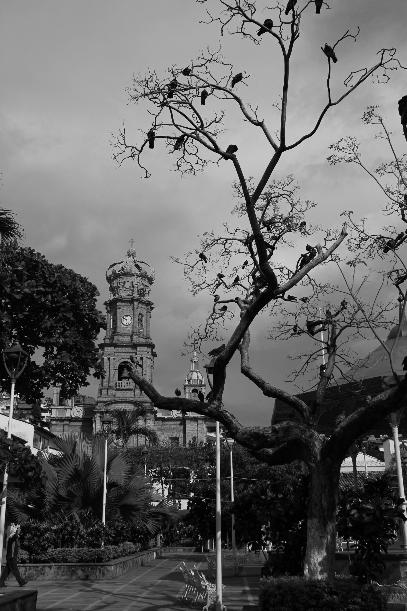 Canon EOS 700D (EOS Rebel T5i / EOS Kiss X7i) sample photo. Town, church, black and photography