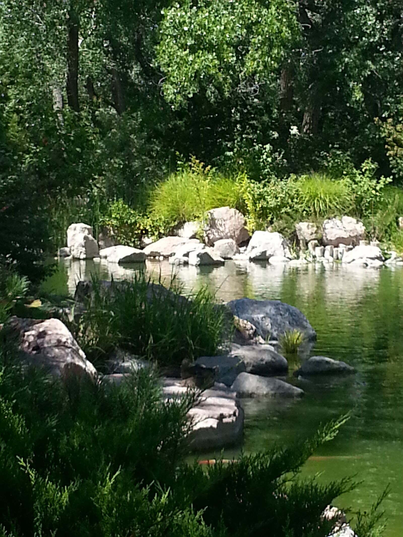 Samsung Galaxy S3 sample photo. Water, outdoors, trees photography