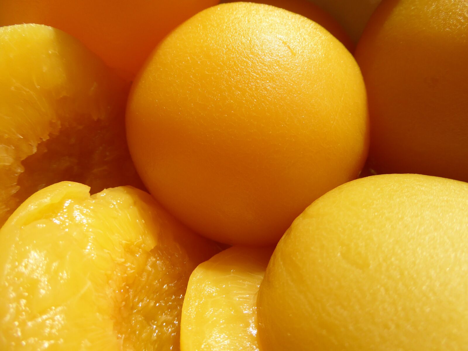Panasonic DMC-TZ61 sample photo. Peaches, in a can photography