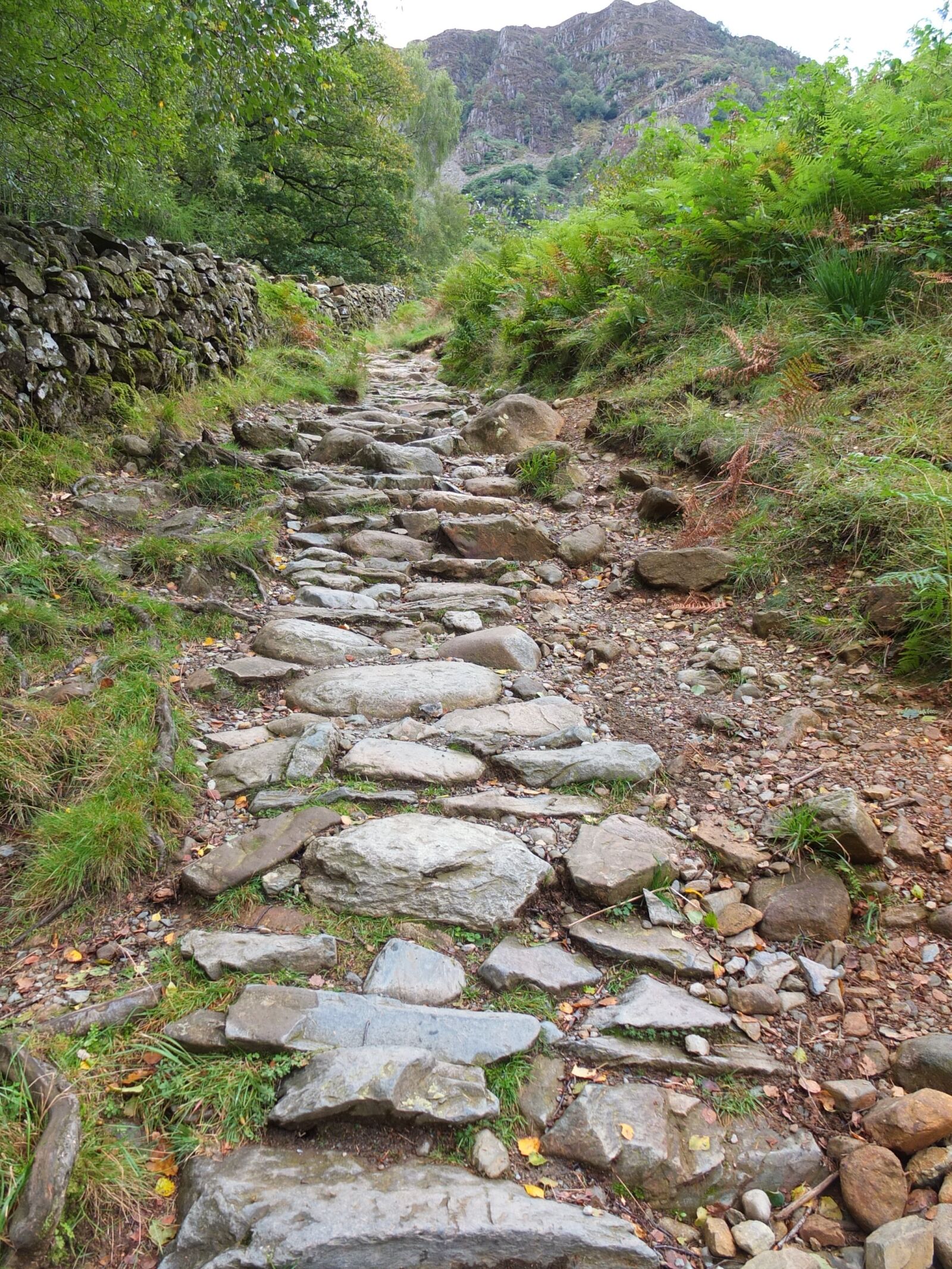 Fujifilm X10 sample photo. Rugged, pathway, lakedistrict photography