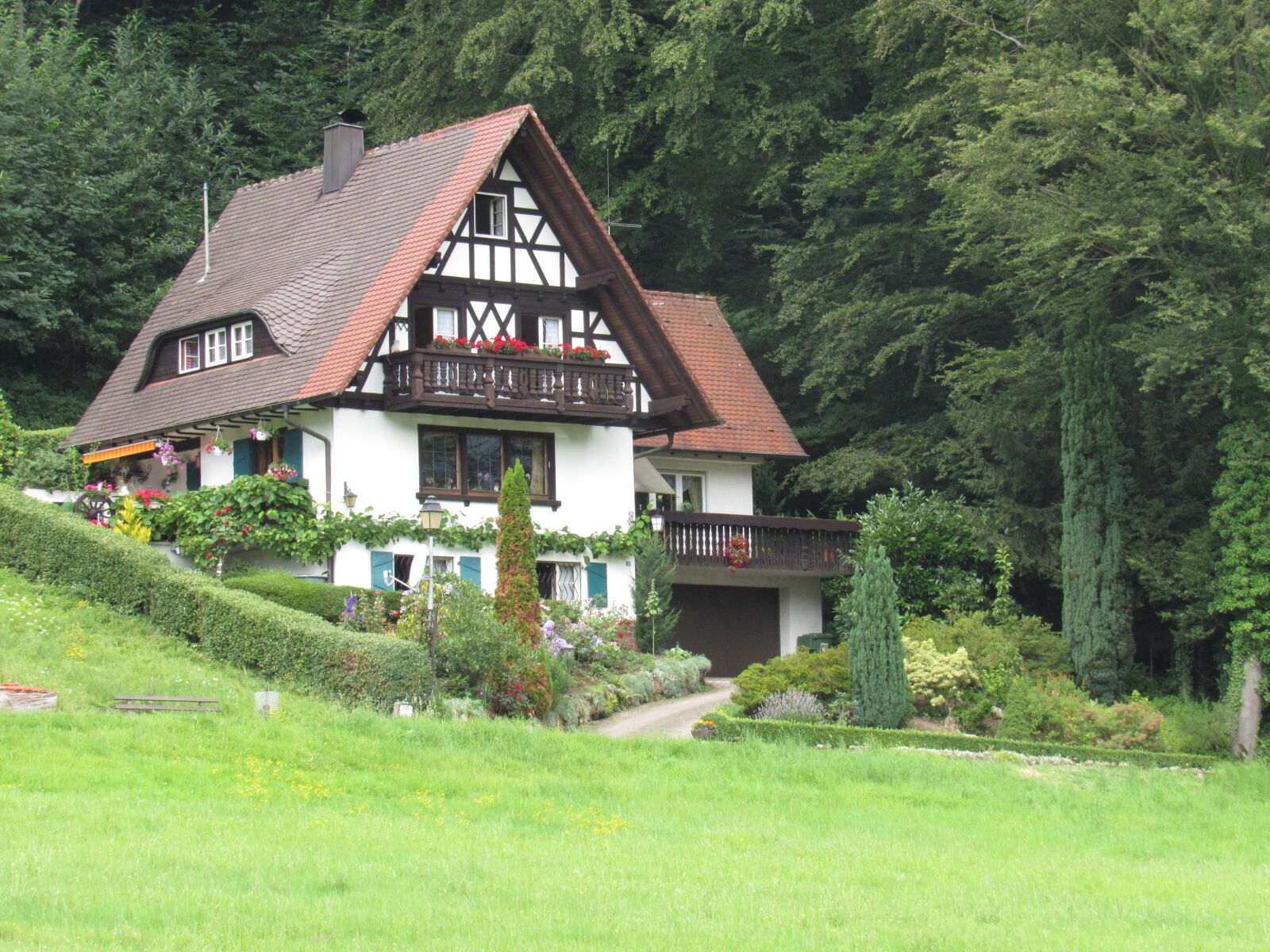 Canon PowerShot SX530 HS sample photo. Germany, schachwalden, nature photography
